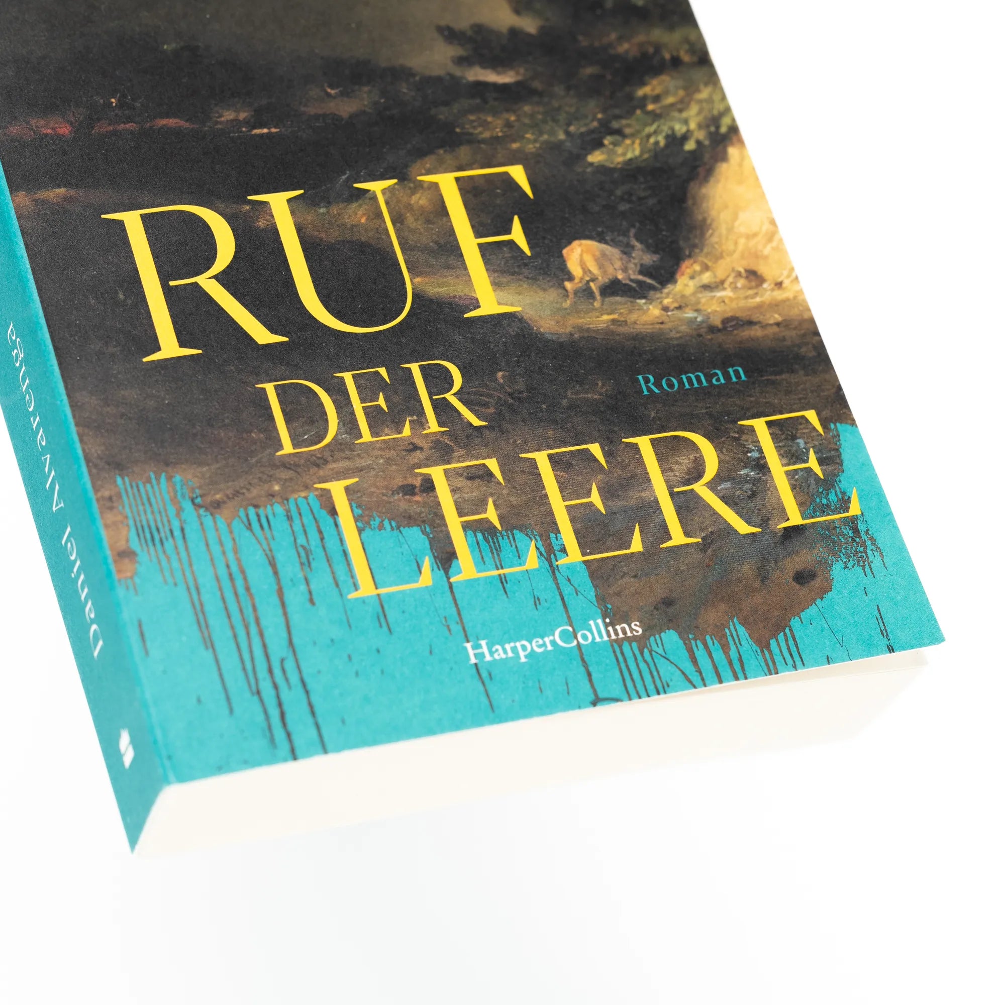 Abbildung von 'Ruf der Leere'