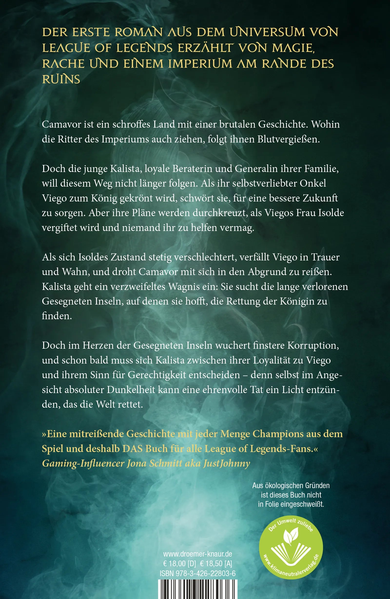 Buchrückseite von 'Ruination' mit Klappentext - Paperback