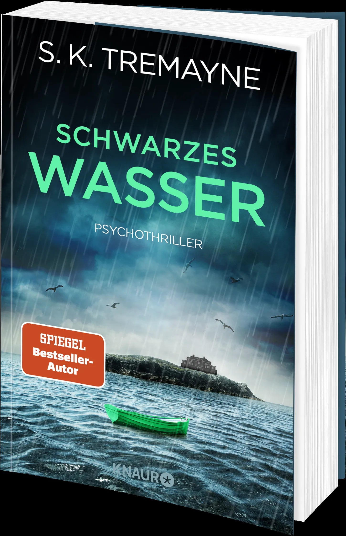 Produktansicht: Schwarzes Wasser (Taschenbuch)