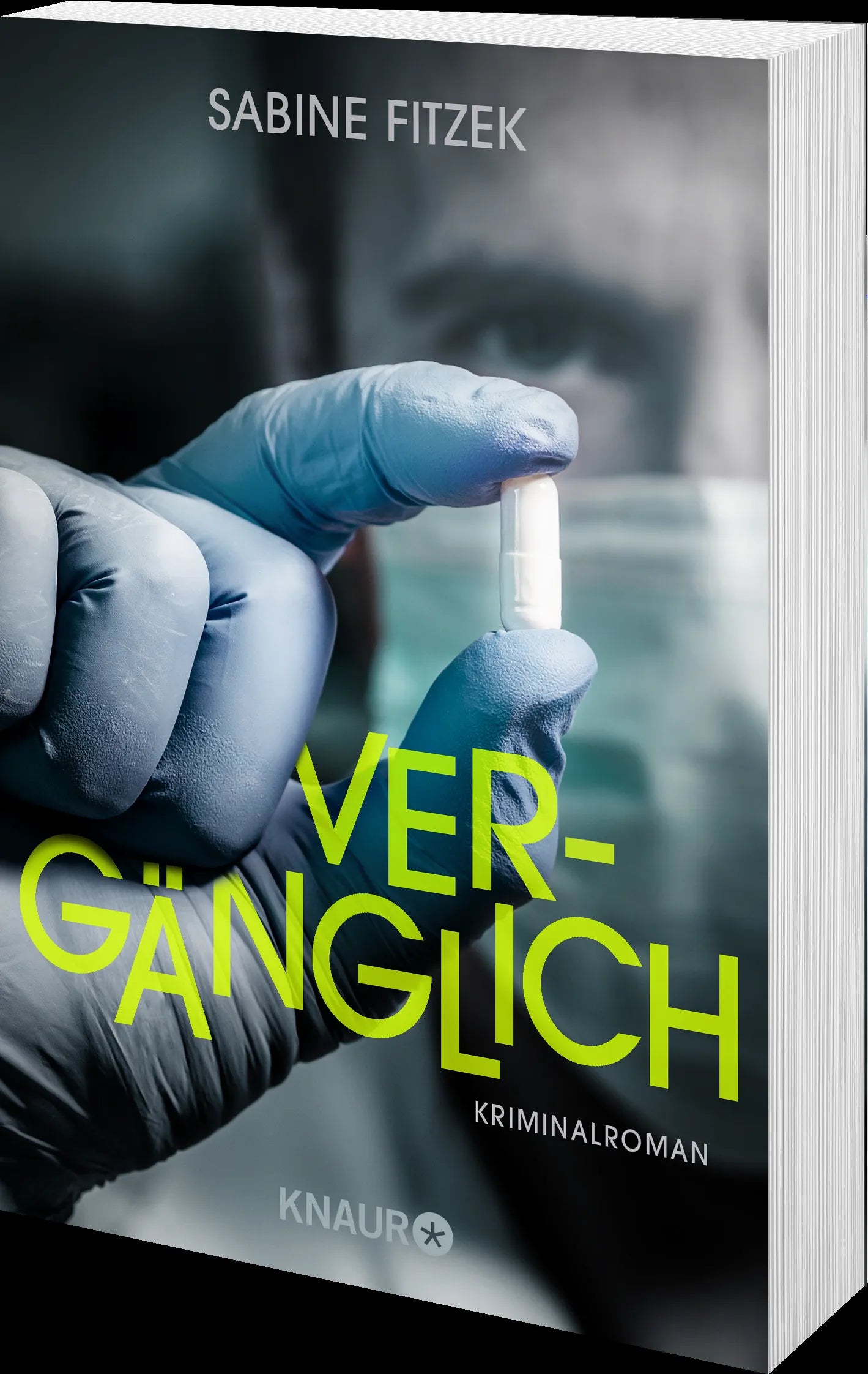 Produktansicht: Vergänglich (Taschenbuch)
