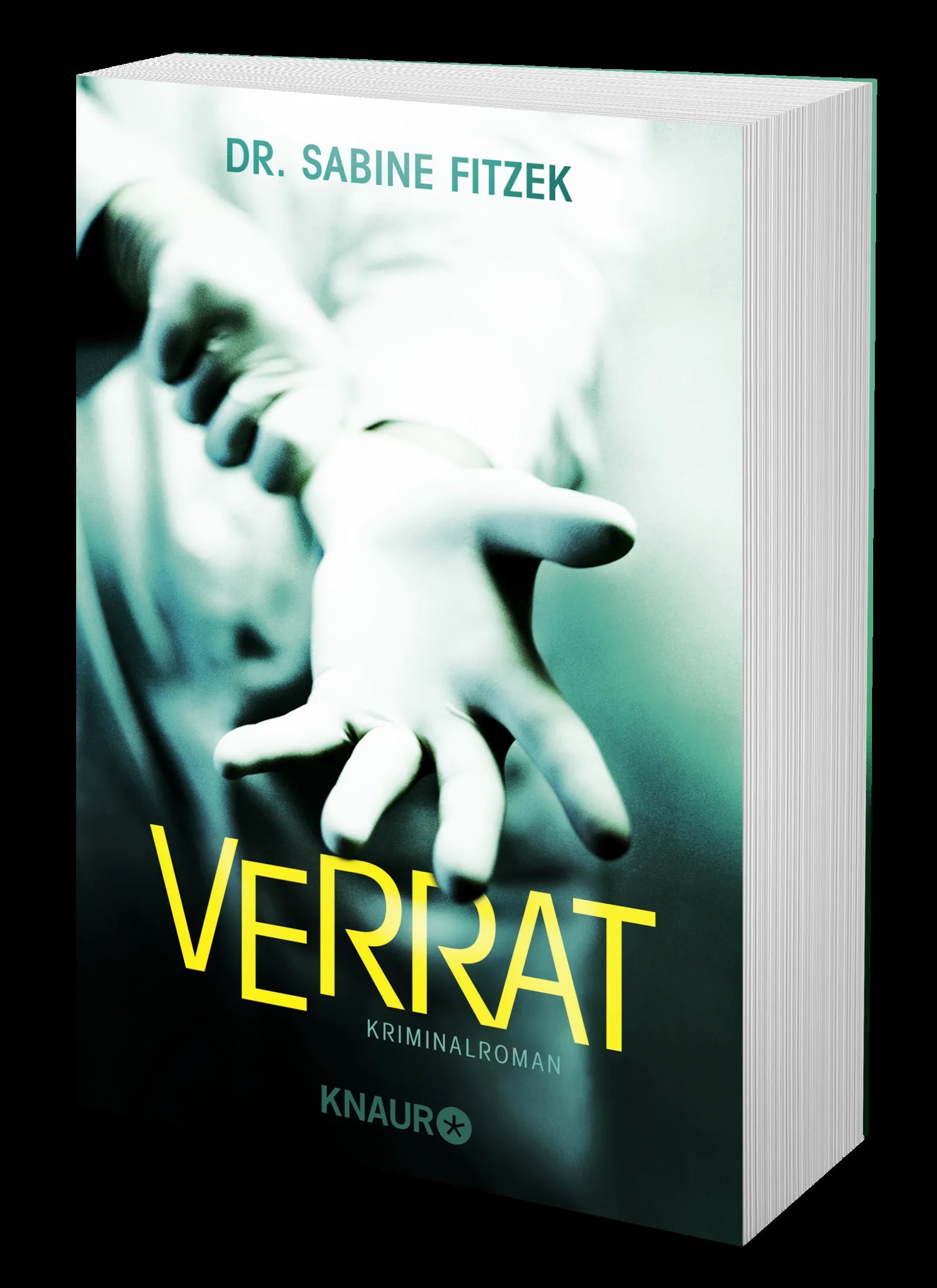 Produktansicht: Verrat (Taschenbuch)