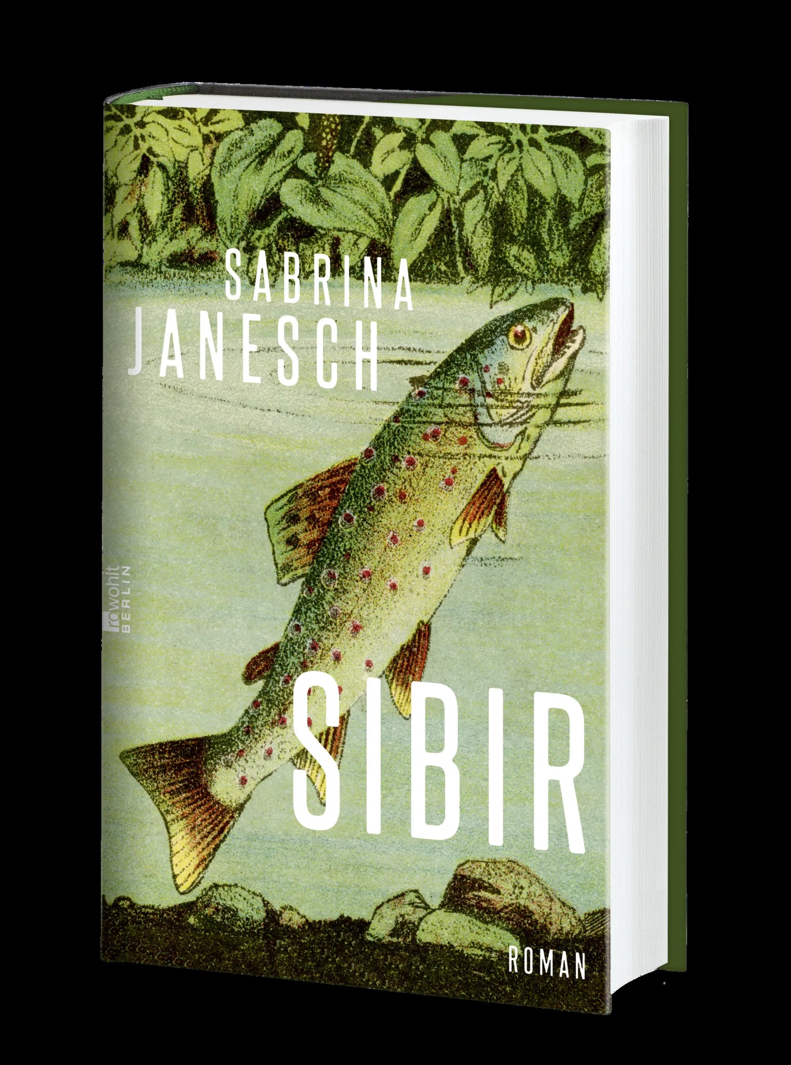 Produktansicht: Sibir (Gebundene Ausgabe)