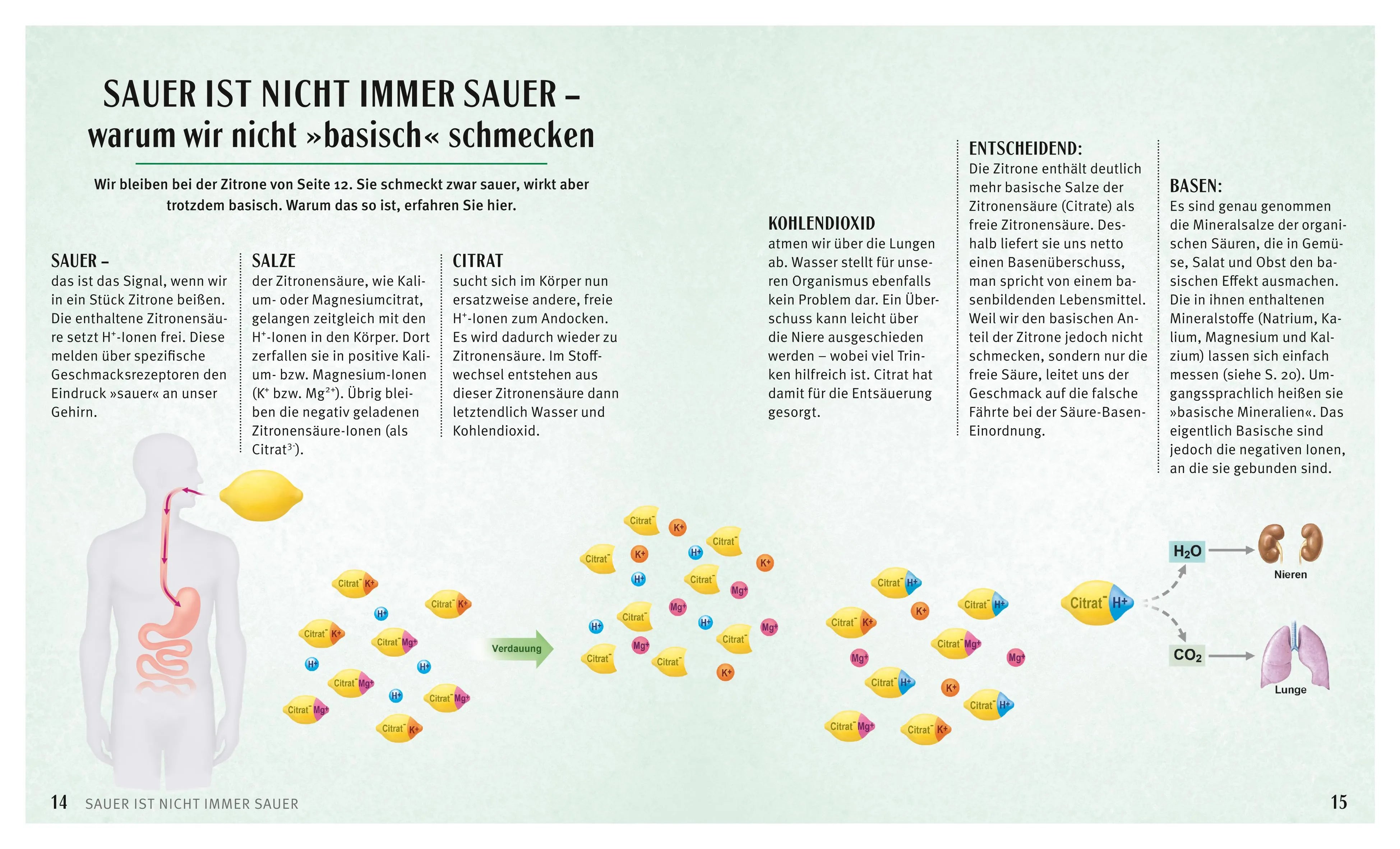 Produktansicht: Säure-Basen-Kochbuch (Taschenbuch)