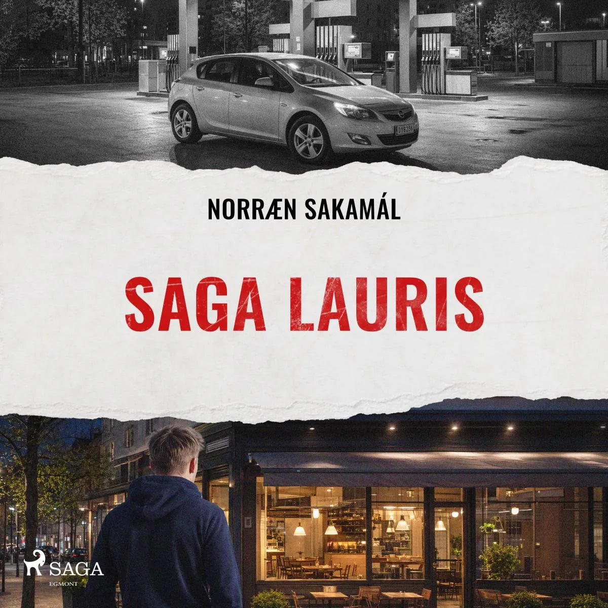Cover: Saga Lauris (Hörbuch Download) von Ýmsir