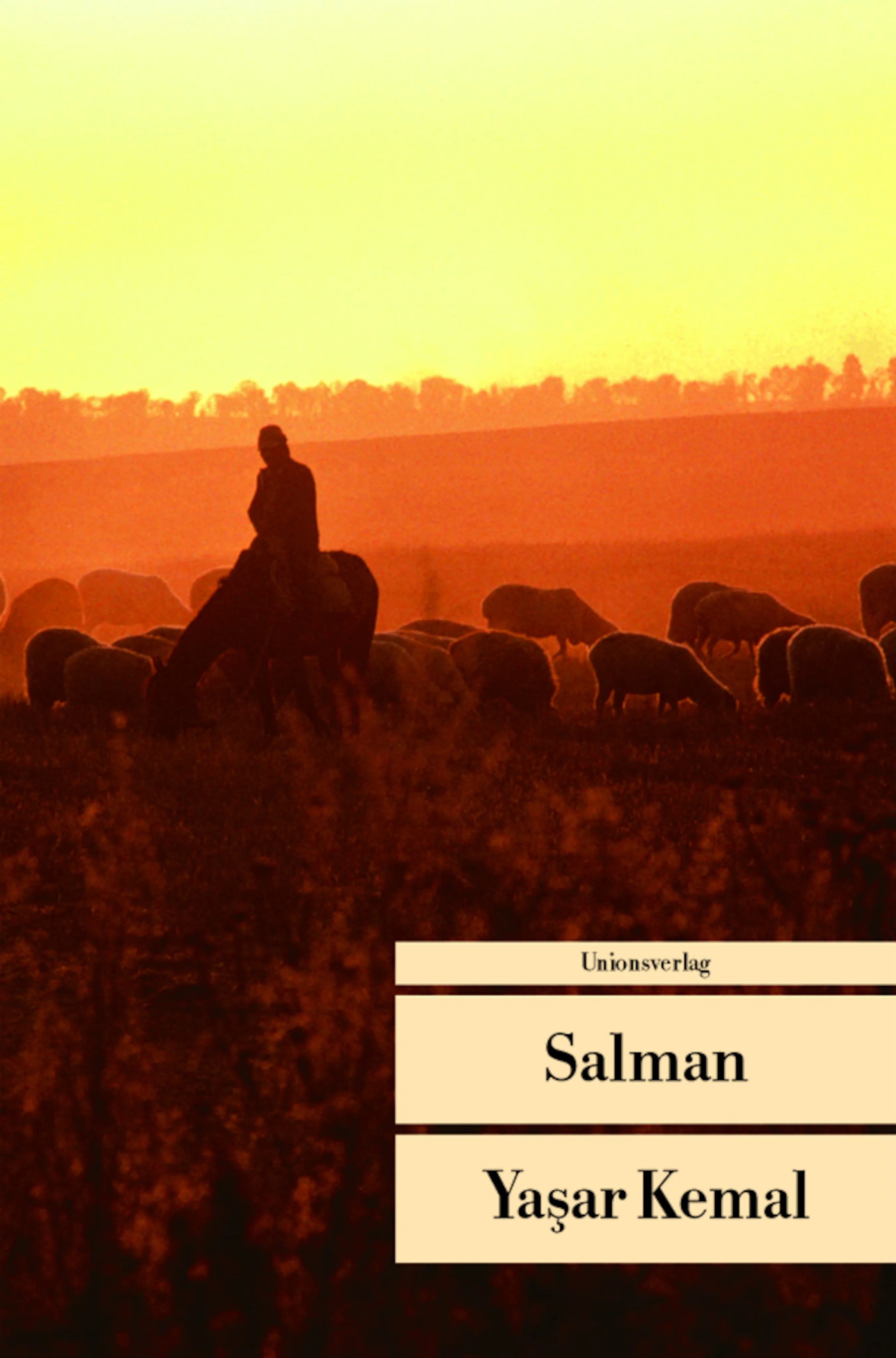 Buchcover von 'Salman' - Taschenbuch von Yaşar Kemal