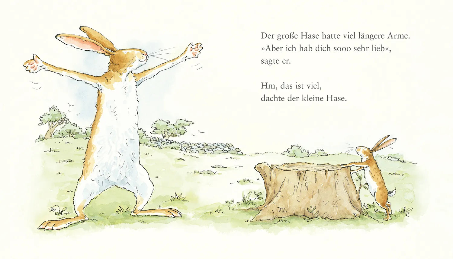 Produktansicht: Weißt du eigentlich, wie lieb ich dich hab? (Gebundene Ausgabe)