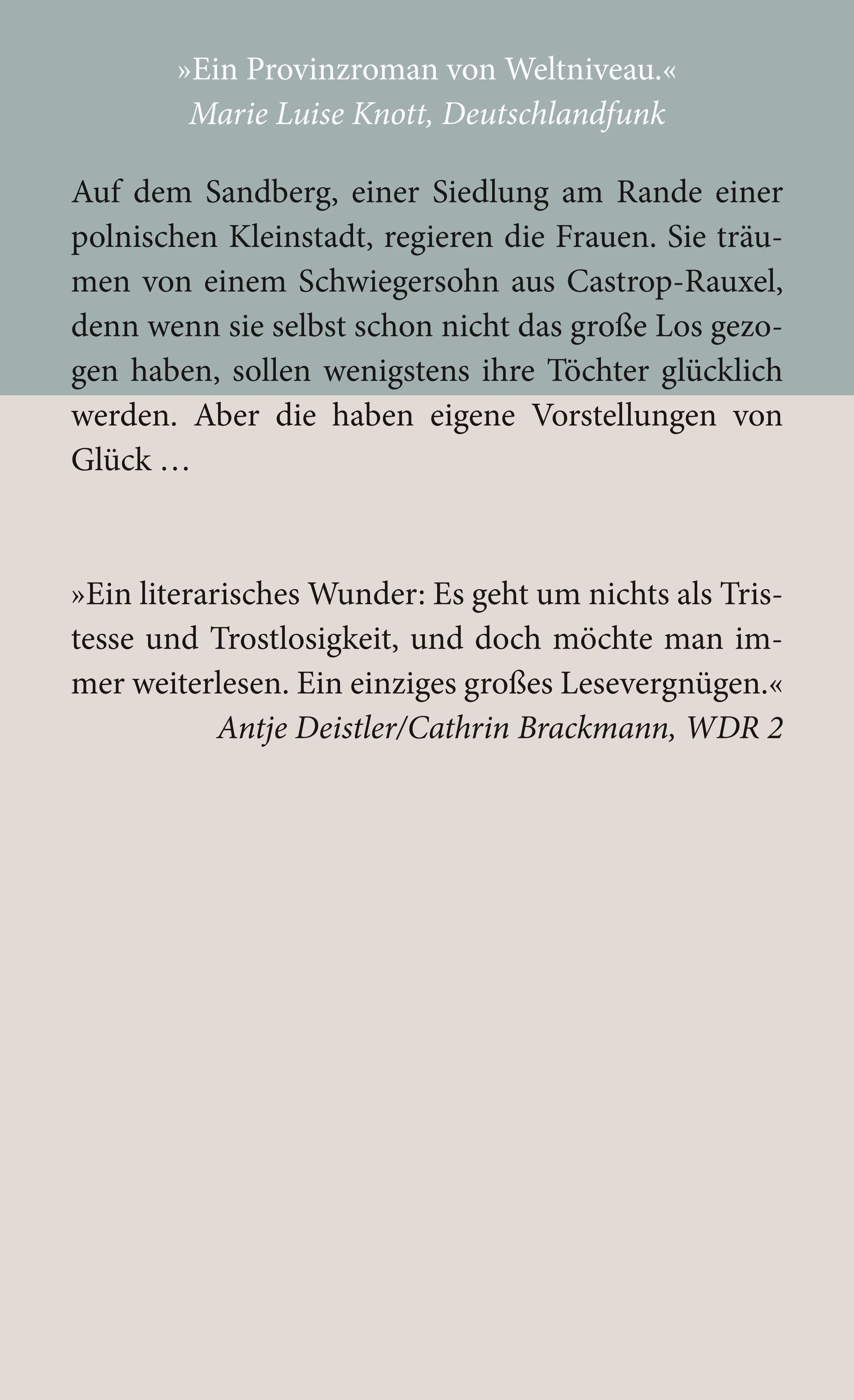 Buchrückseite von 'Sandberg' mit Klappentext - Taschenbuch