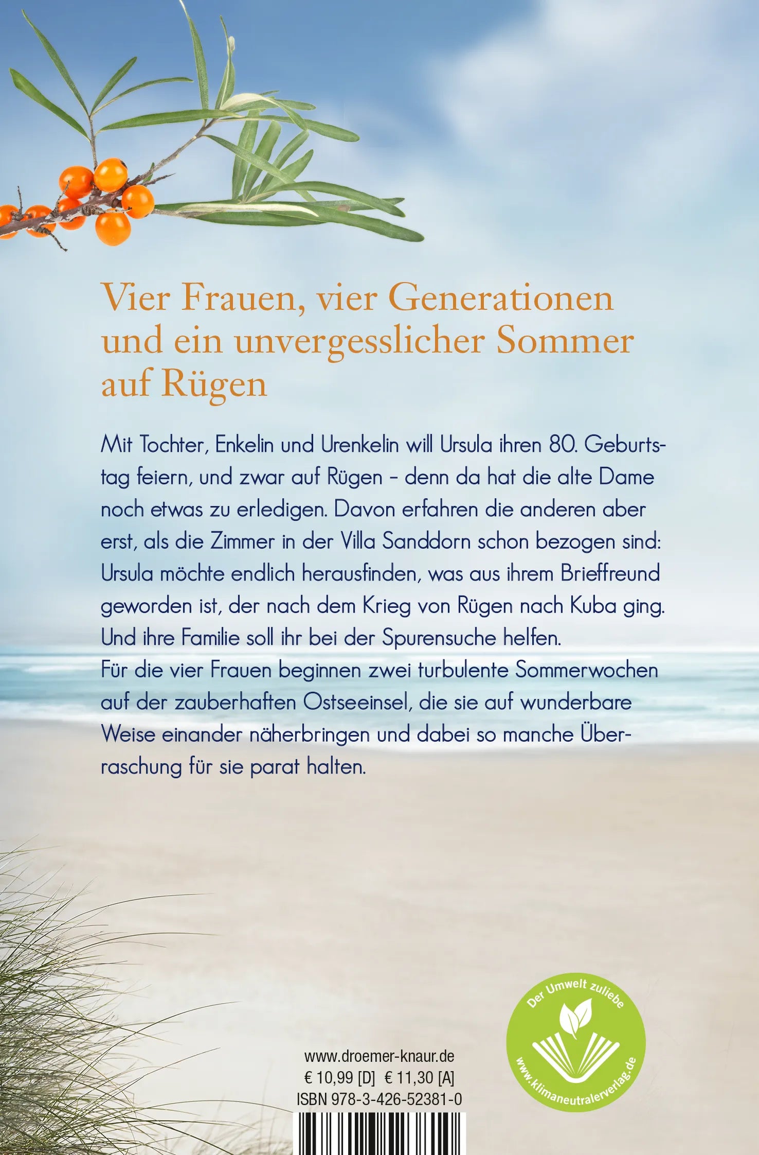 Buchrückseite von 'Sanddorninsel' mit Klappentext - Taschenbuch