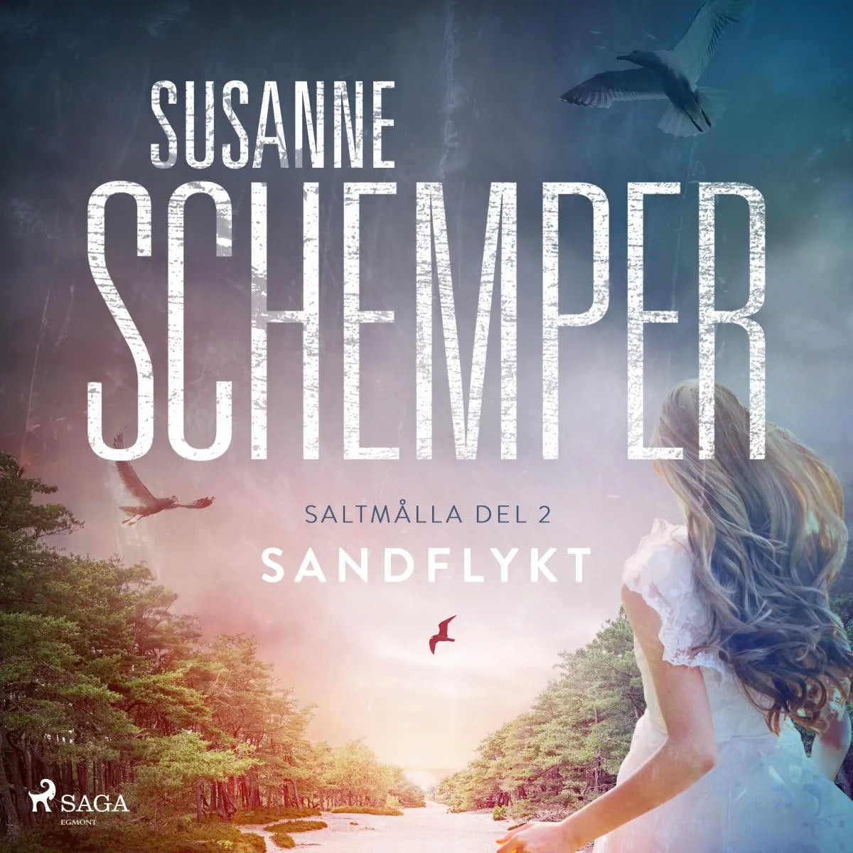 Cover: Sandflykt (Hörbuch Download) von Susanne Schemper