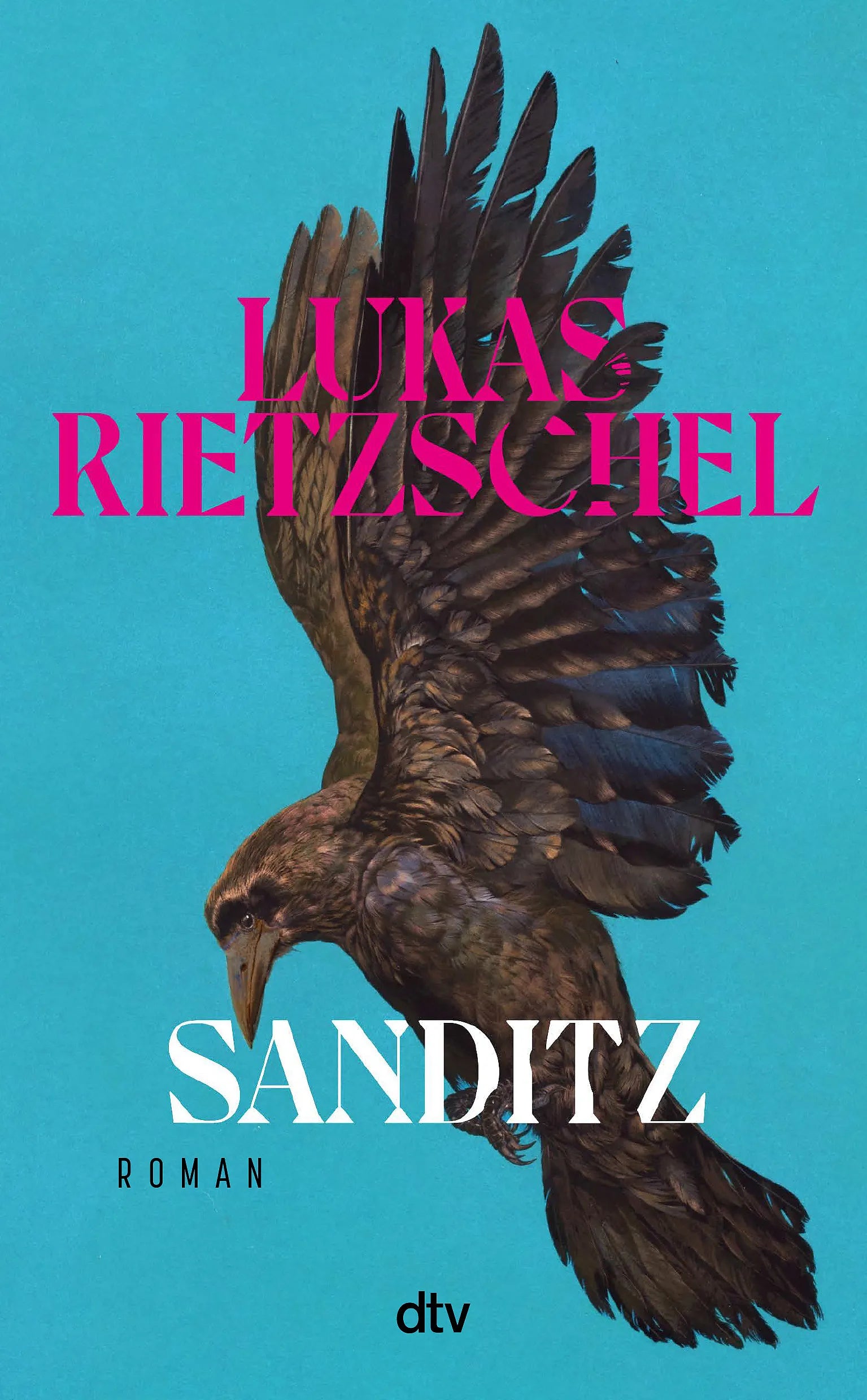 Buchcover von 'Sanditz' - Gebundene Ausgabe von Lukas Rietzschel