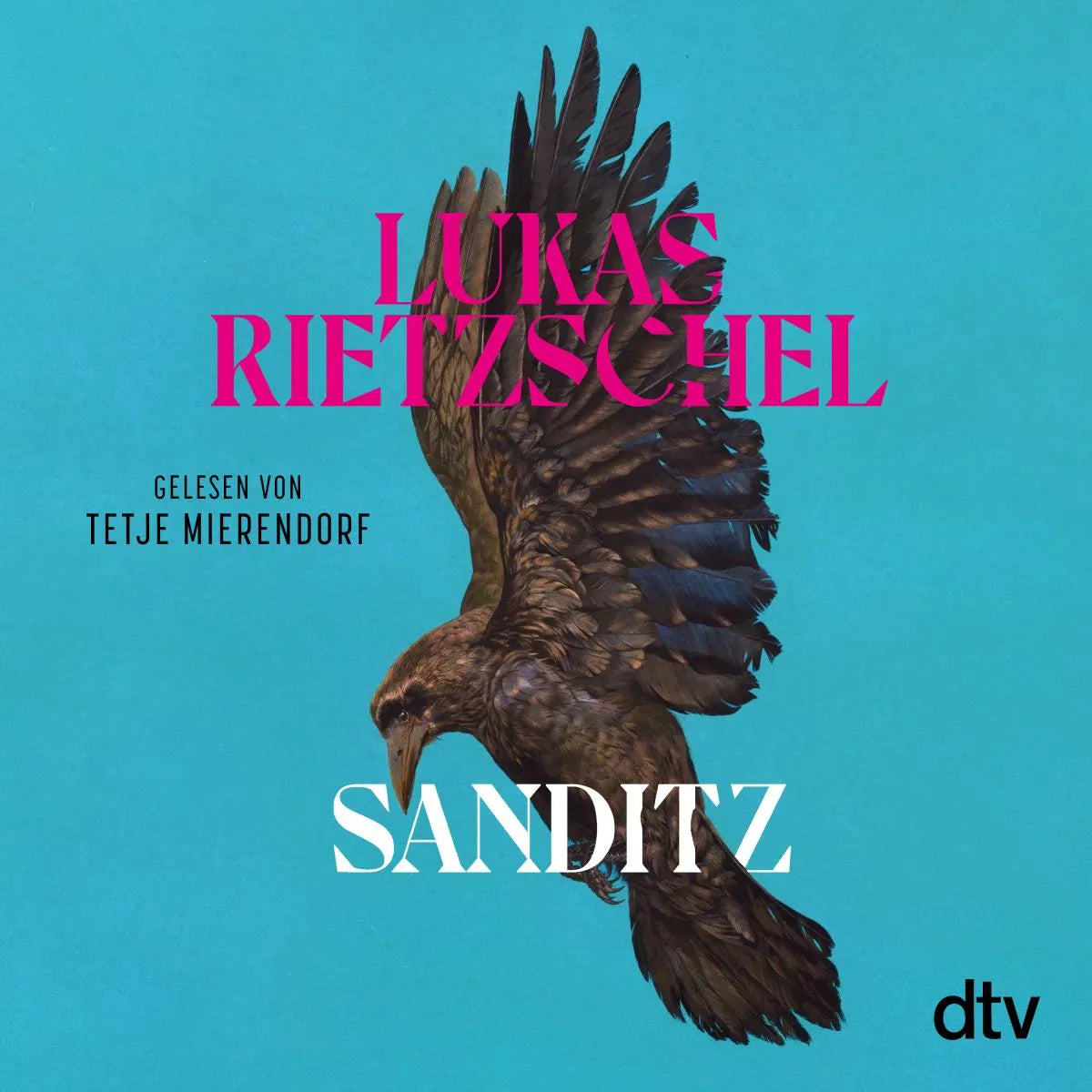 Cover: Sanditz (Hörbuch Download) von Lukas Rietzschel