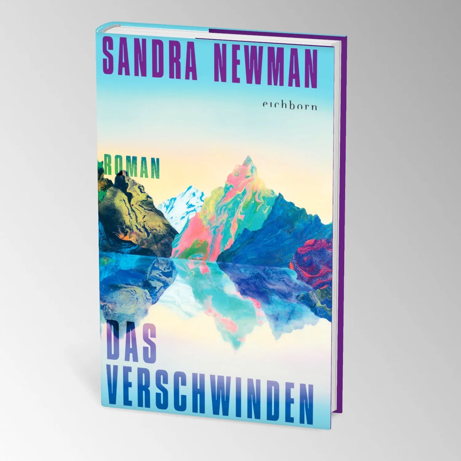 Produktansicht: Das Verschwinden (Gebundene Ausgabe)