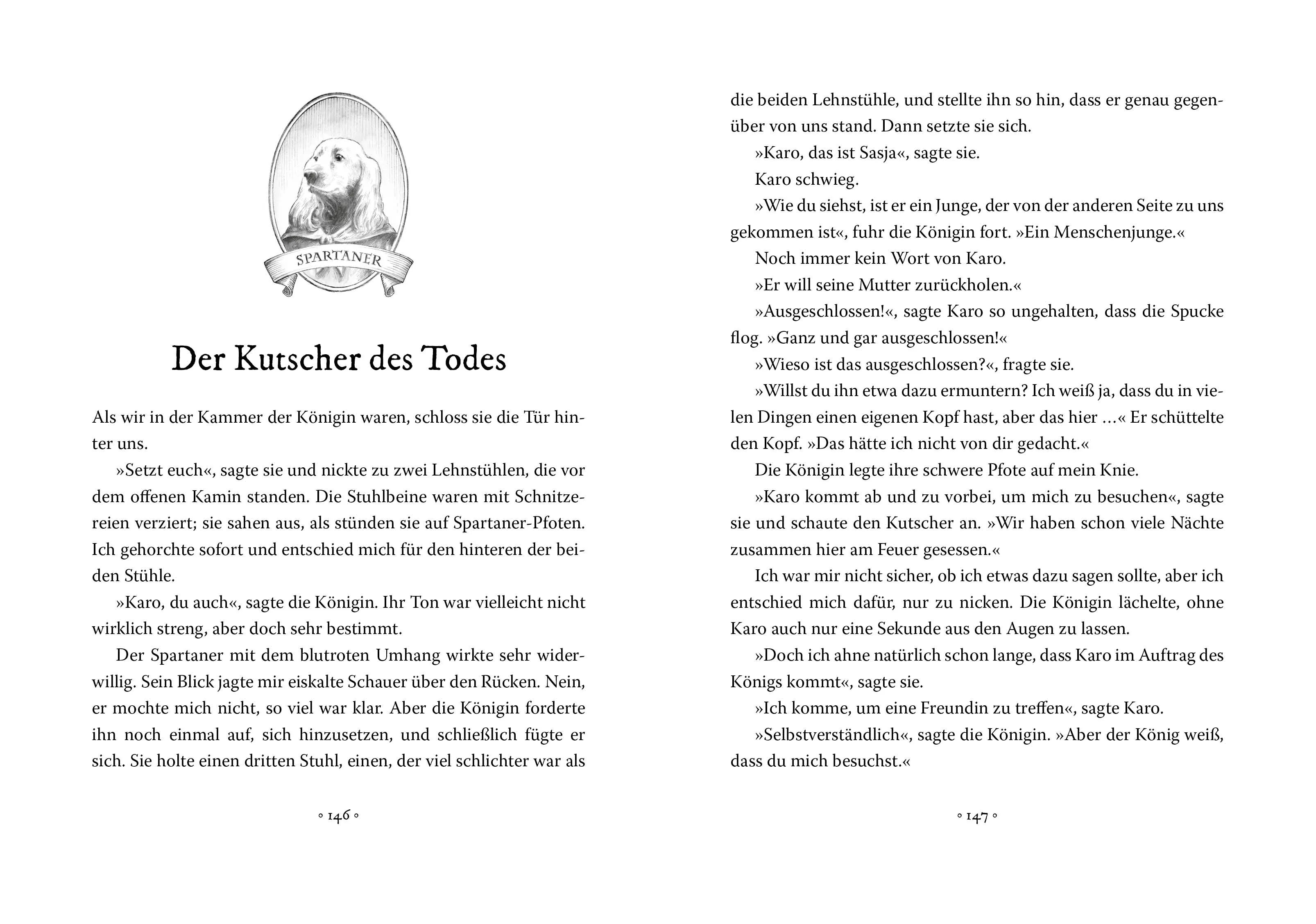 Produktansicht: Sasja und das Reich jenseits des Meeres (Taschenbuch)