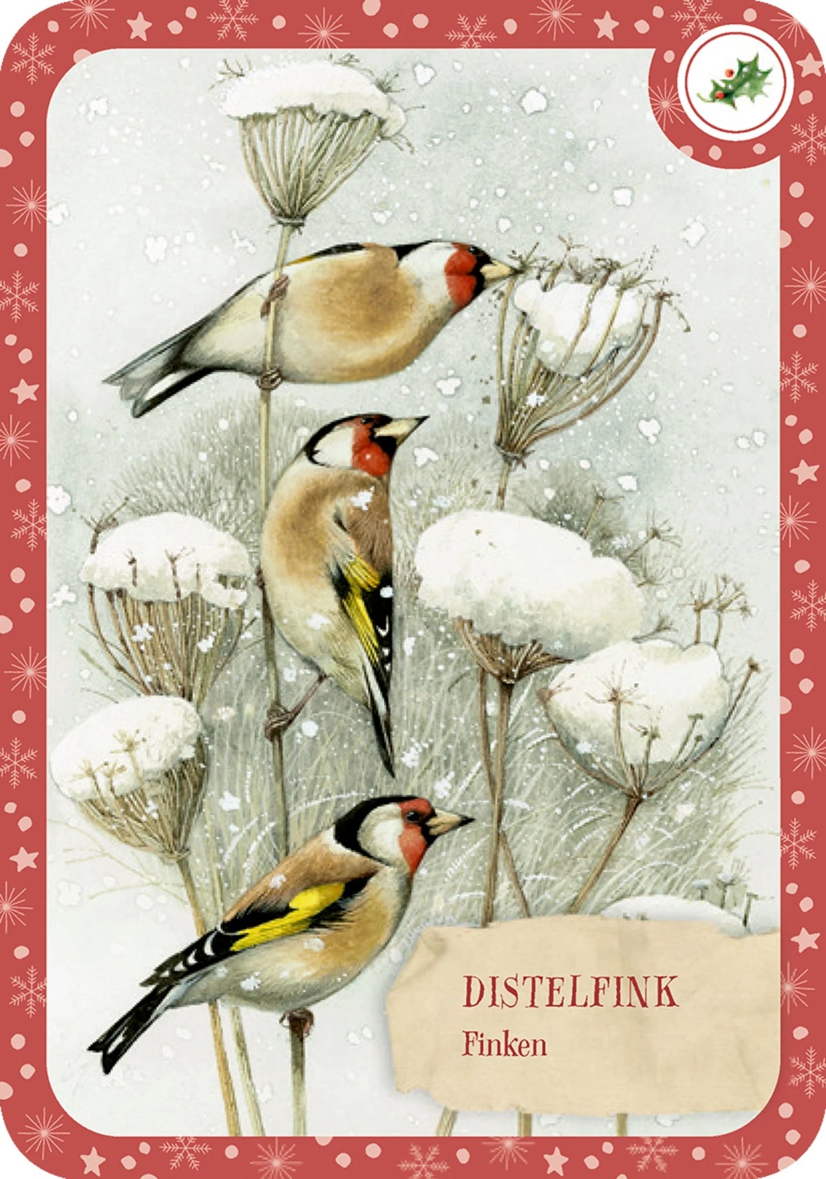 Schachtelspiel – Zauberhafte Vogelwelt – Ansicht
