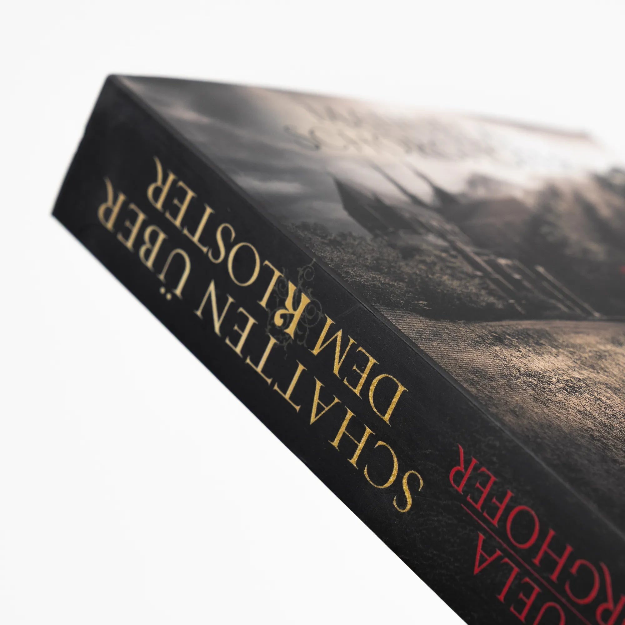 Produktansicht: Schatten über dem Kloster (Taschenbuch)