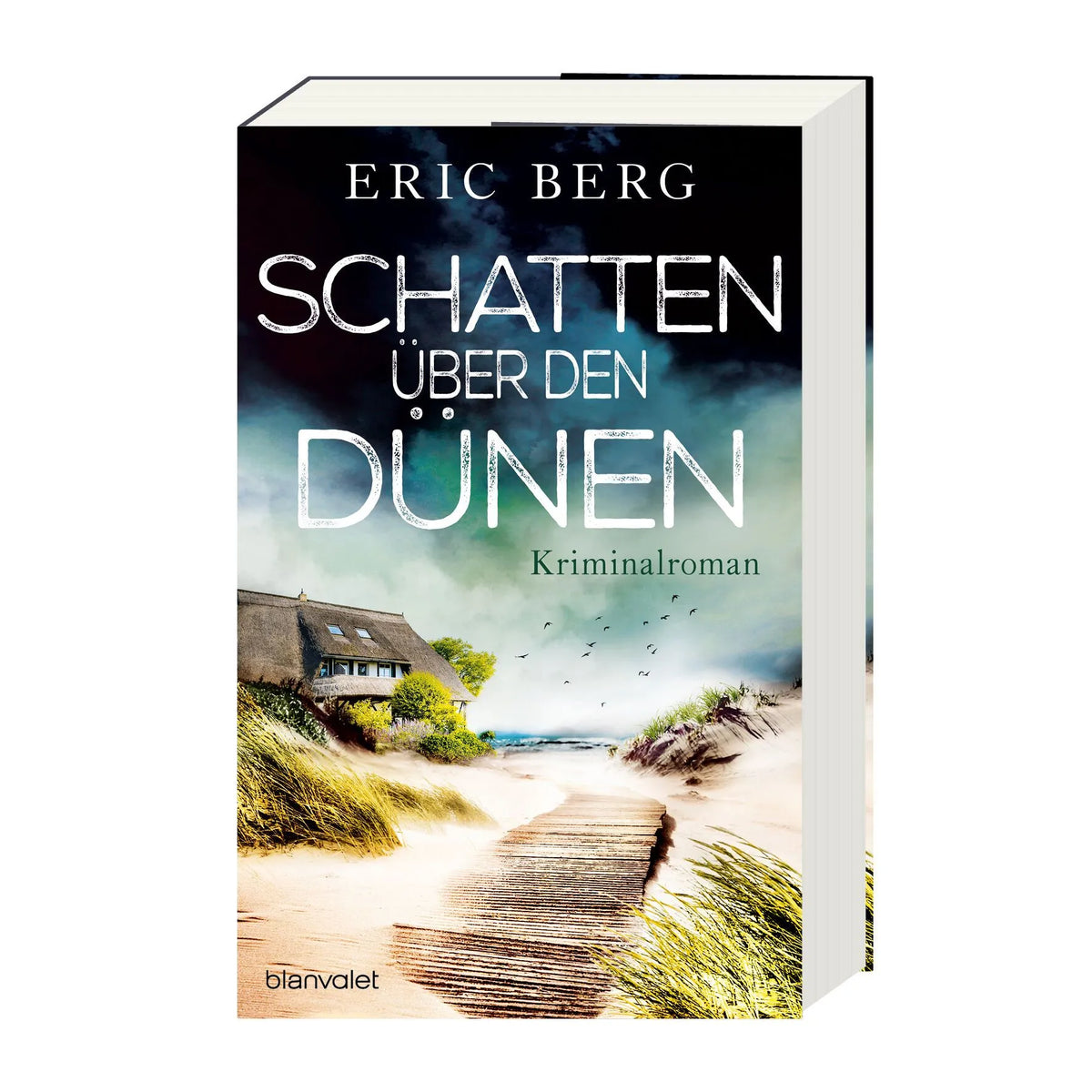 Detailansicht: Schatten über den Dünen (Paperback)