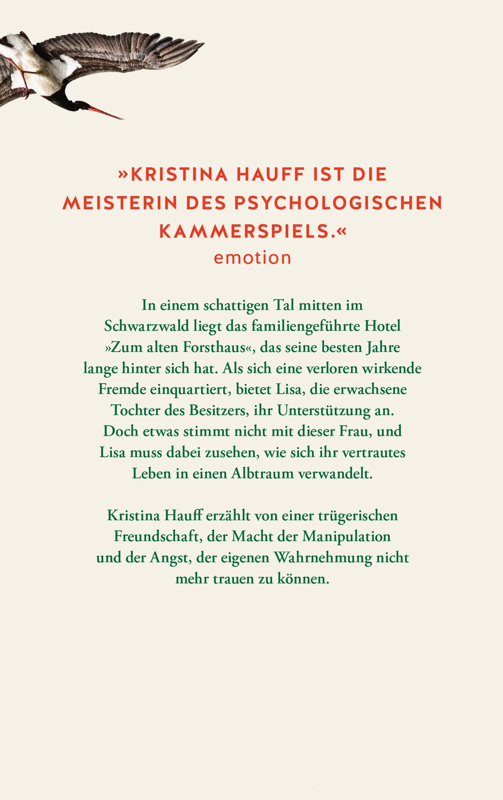 Produktansicht: Schattengrünes Tal (Gebundene Ausgabe)
