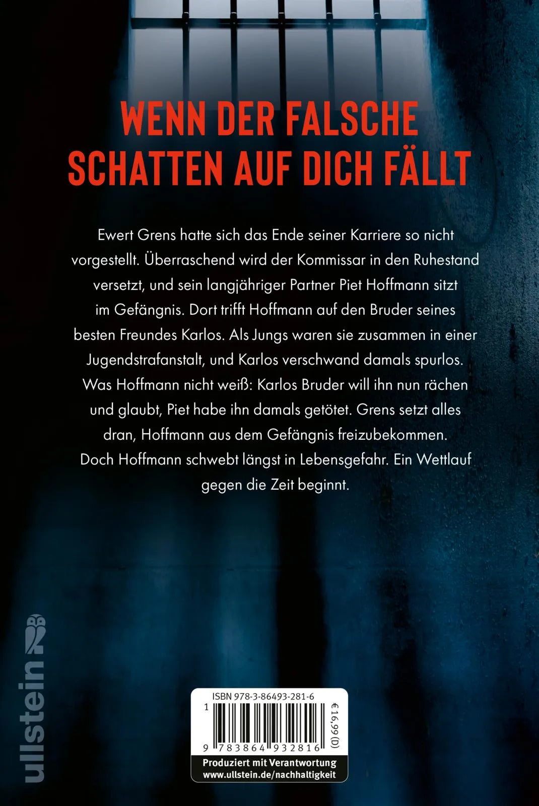 Buchrückseite von 'Schattenkind' mit Klappentext - Paperback