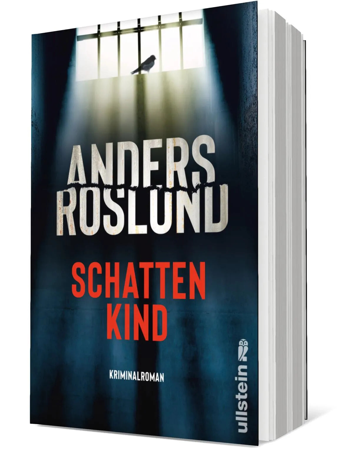 Produktansicht: Schattenkind (Paperback)