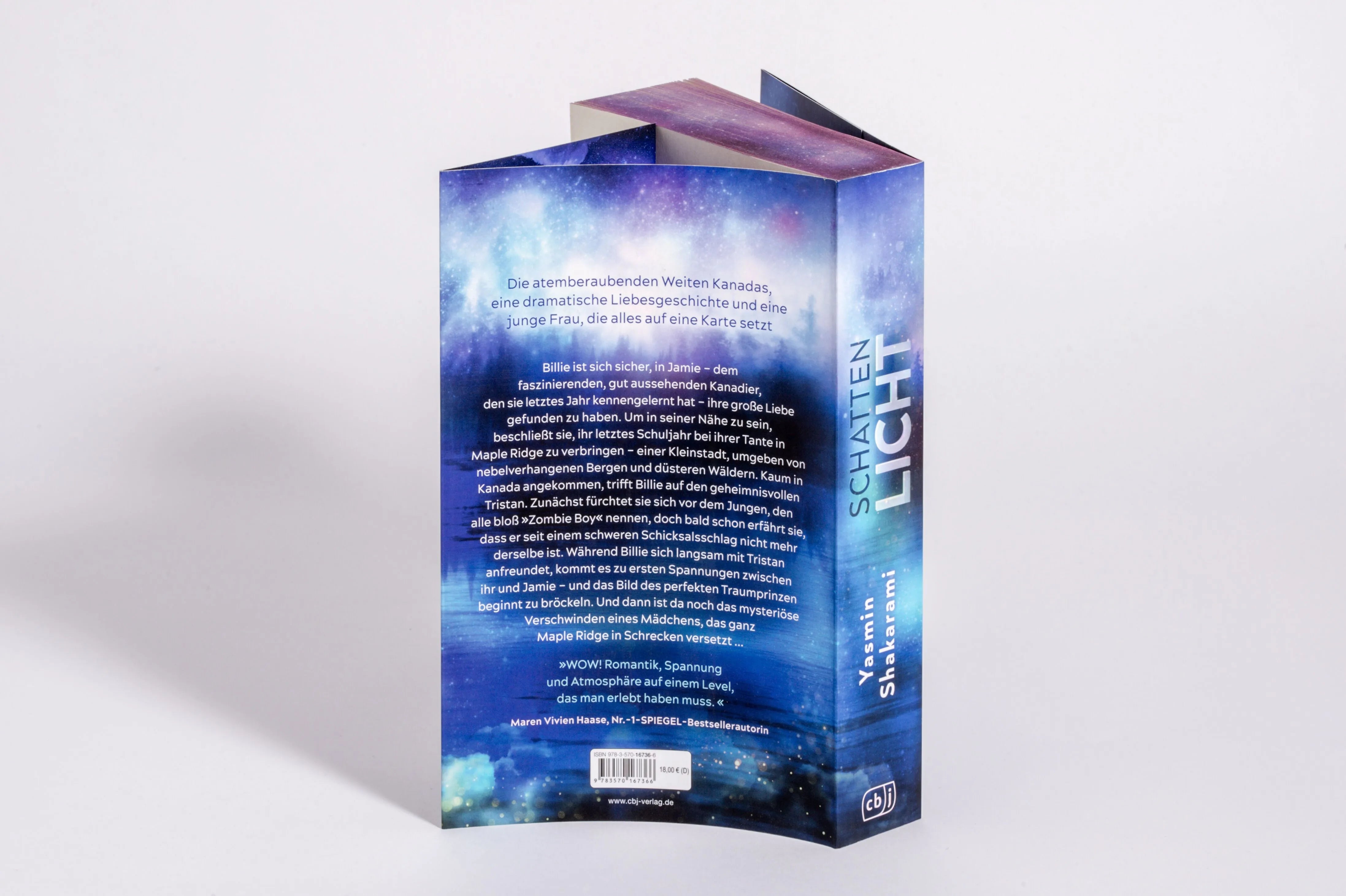 Detailansicht: Schattenlicht (Paperback)