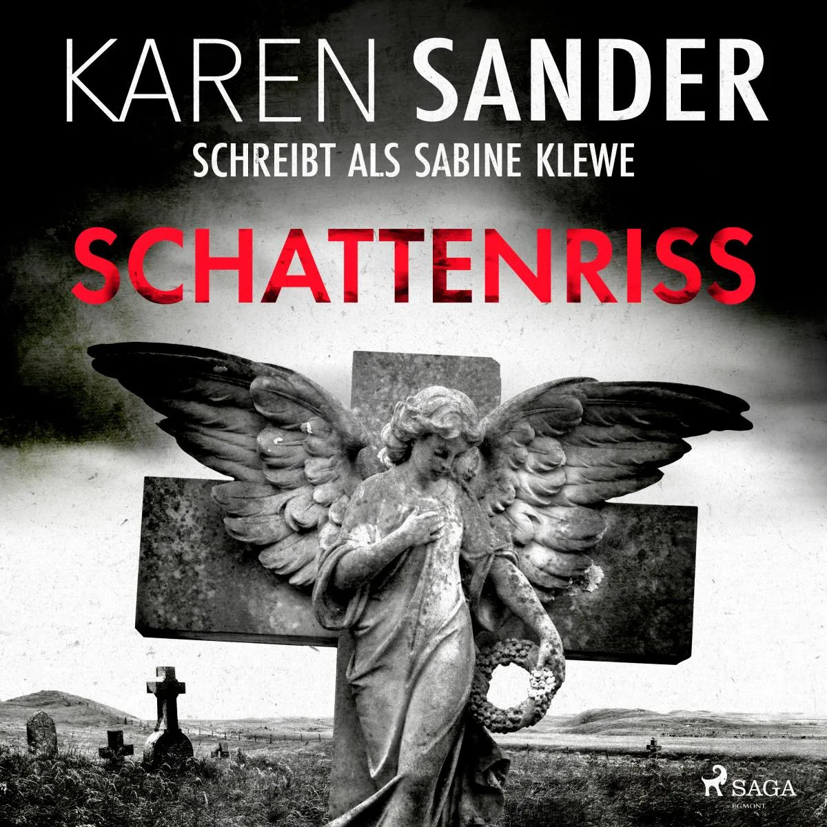 Cover: Schattenriss (Hörbuch Download) von Karen Sander