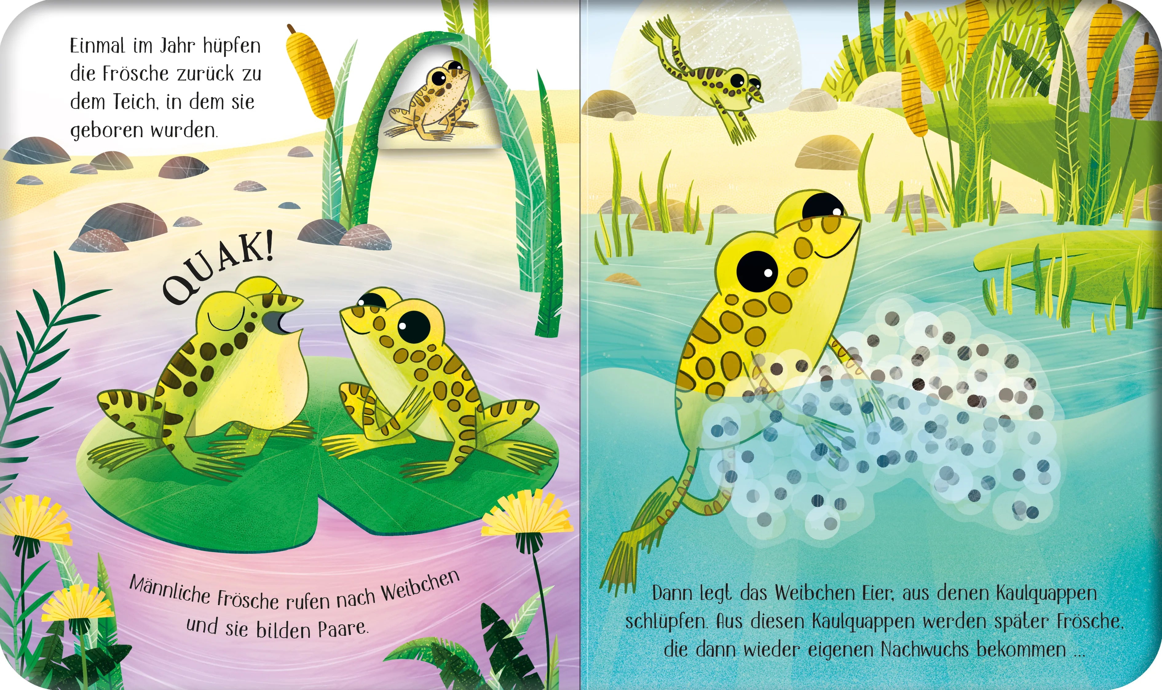 Lesley Sims - Schau mal, wie ich wachse! Vom Laich zum Frosch