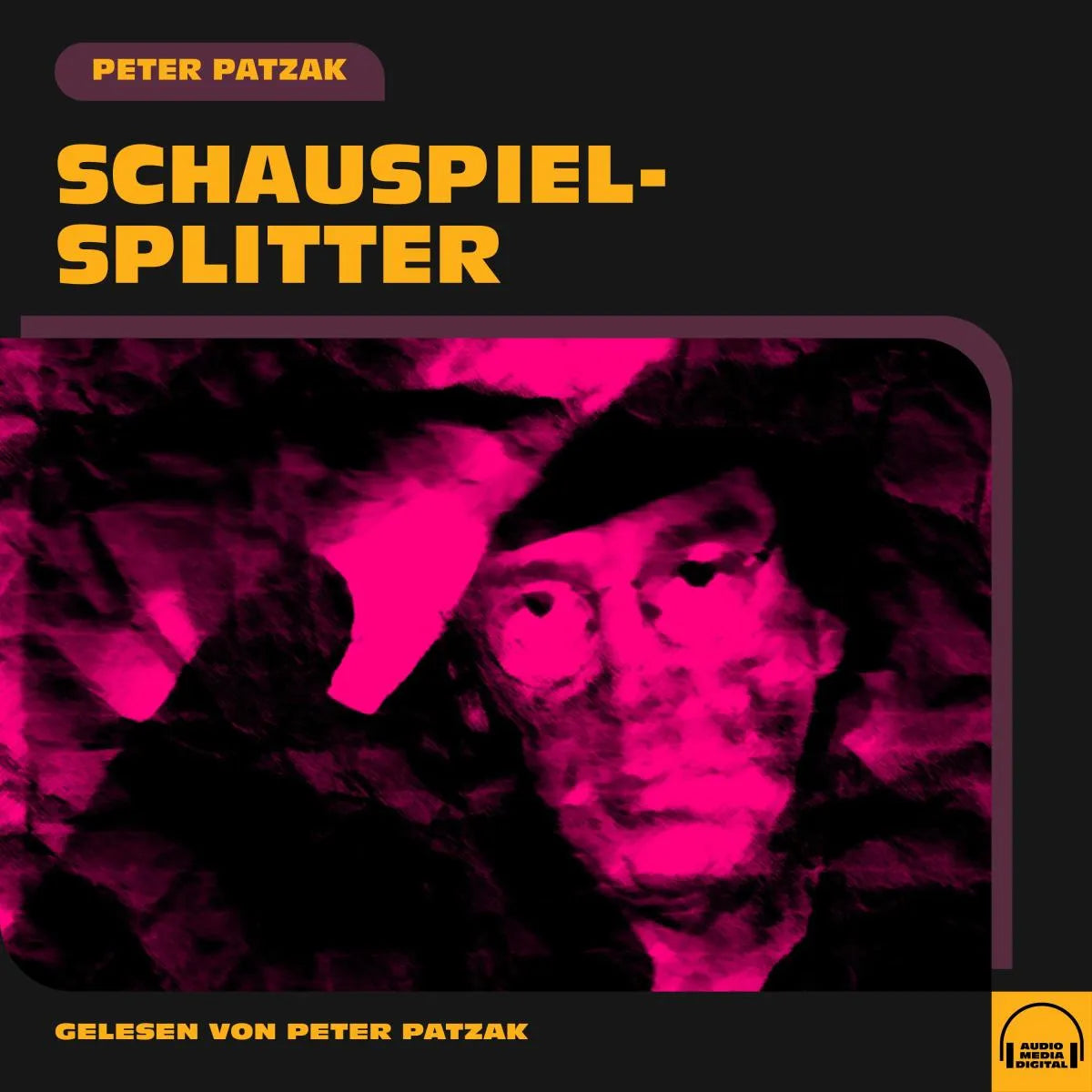 Cover: Schauspielsplitter (Hörbuch Download) von Peter Patzak
