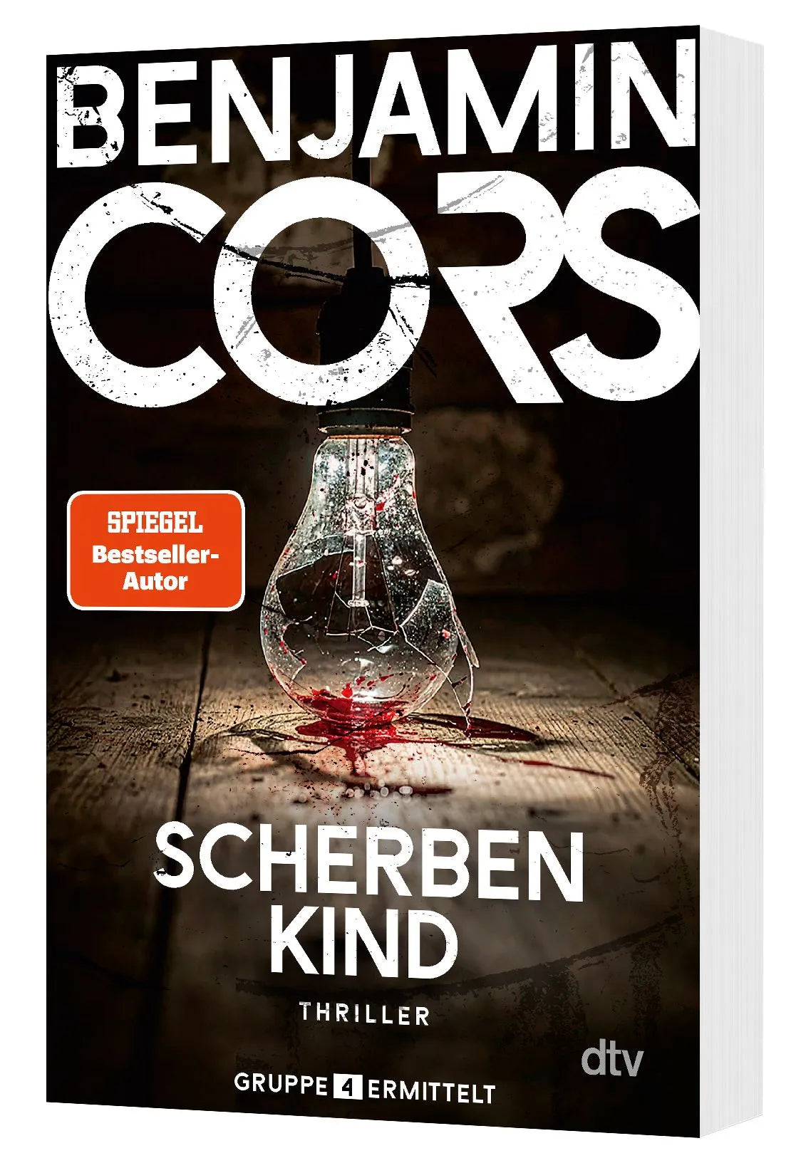 Detailansicht: Scherbenkind (Taschenbuch)