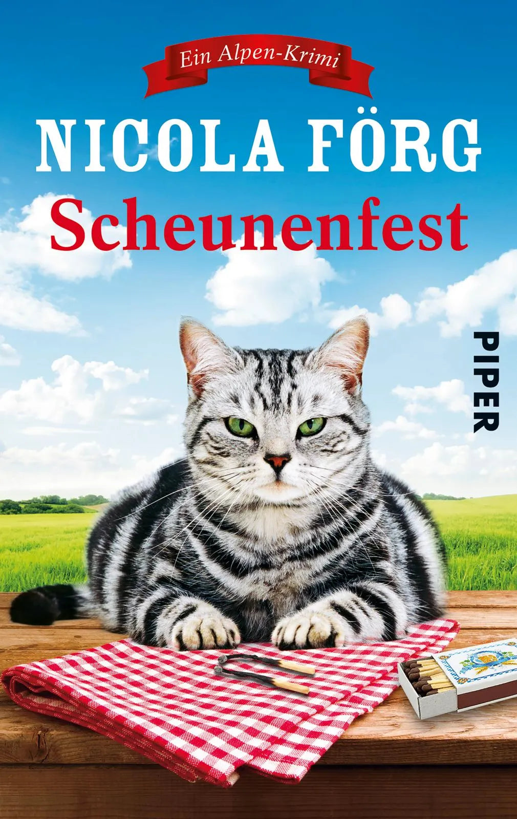 Buchcover von 'Scheunenfest' - Taschenbuch von Nicola Förg