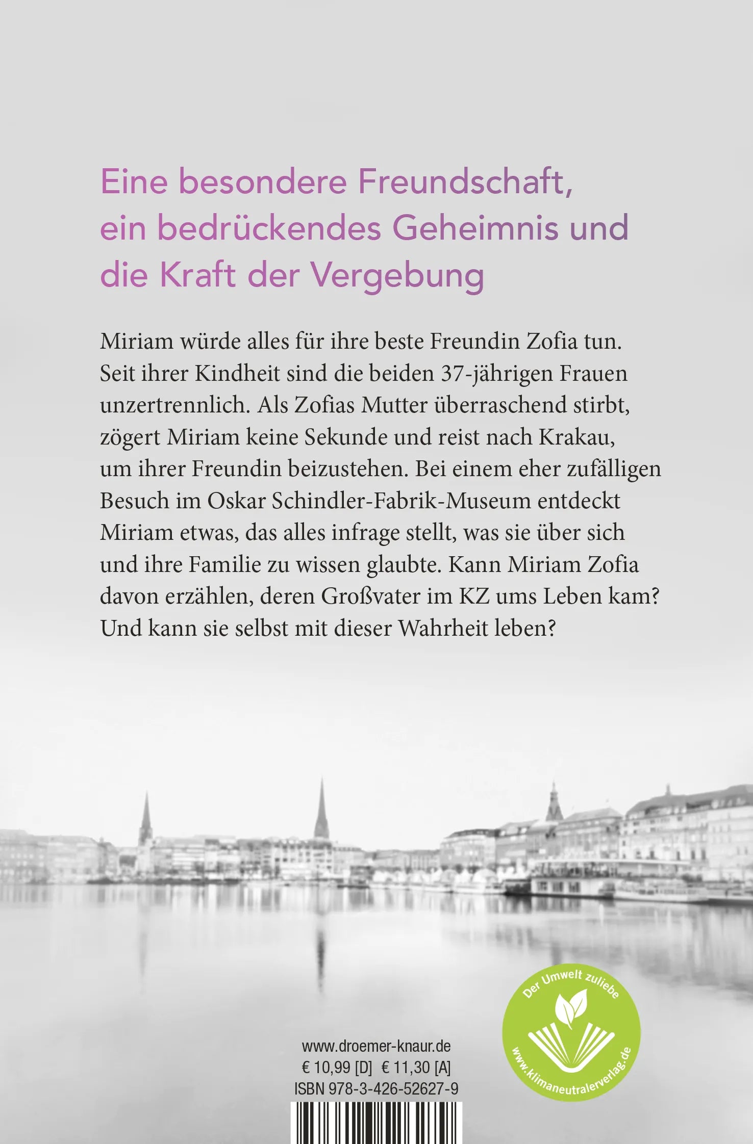 Buchrückseite von 'Schicksalsfreundin' mit Klappentext - Taschenbuch