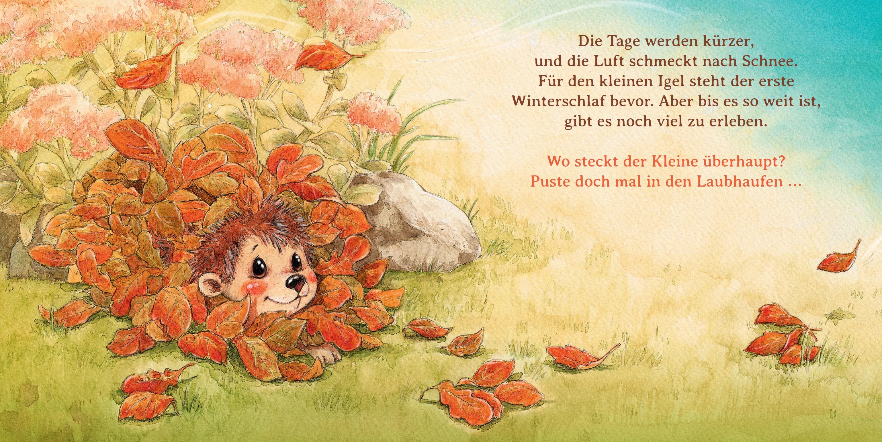 Sophie Schoenwald - Schlaf schön, kleiner Igel