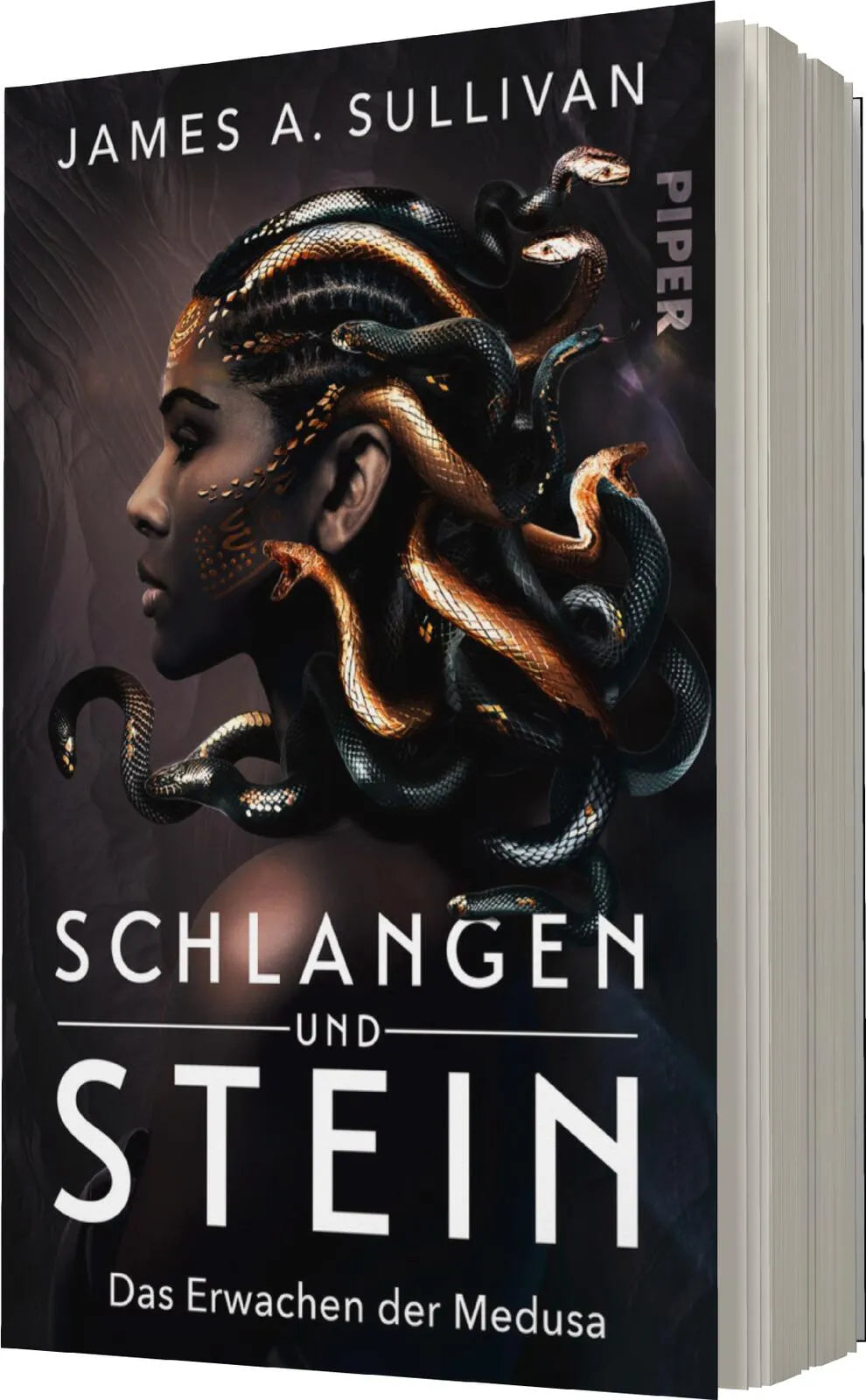 James A. Sullivan - Schlangen und Stein