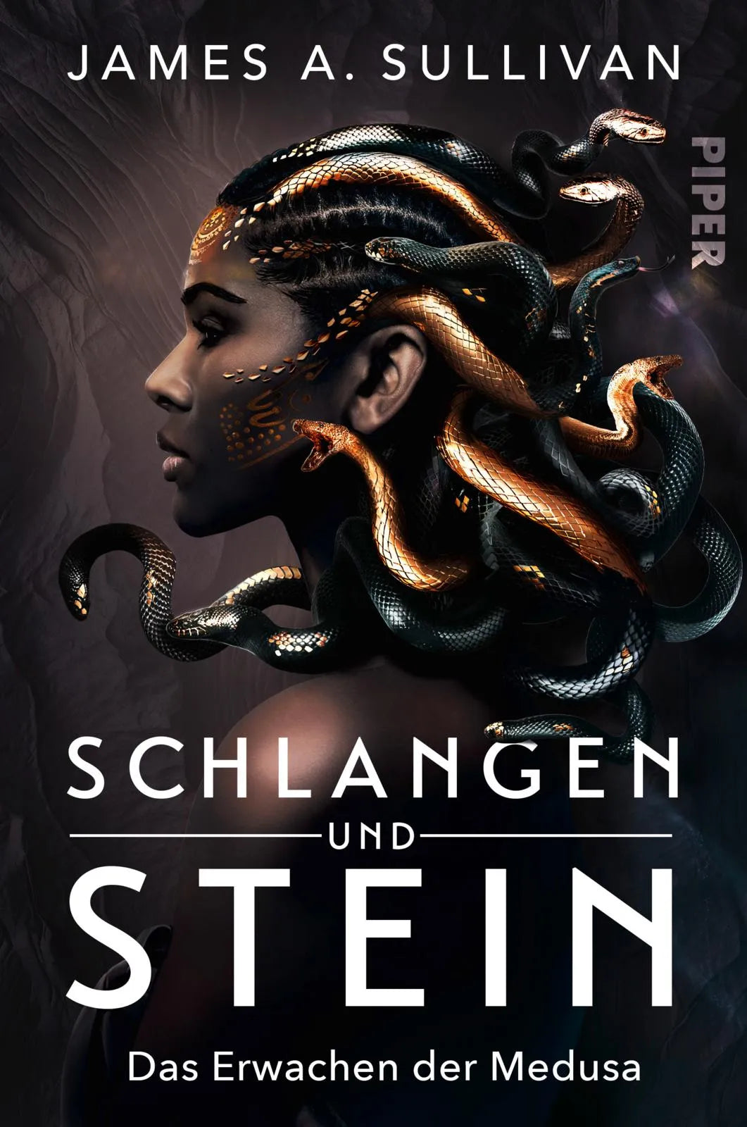 Buchcover von 'Schlangen und Stein' - Paperback von James A. Sullivan