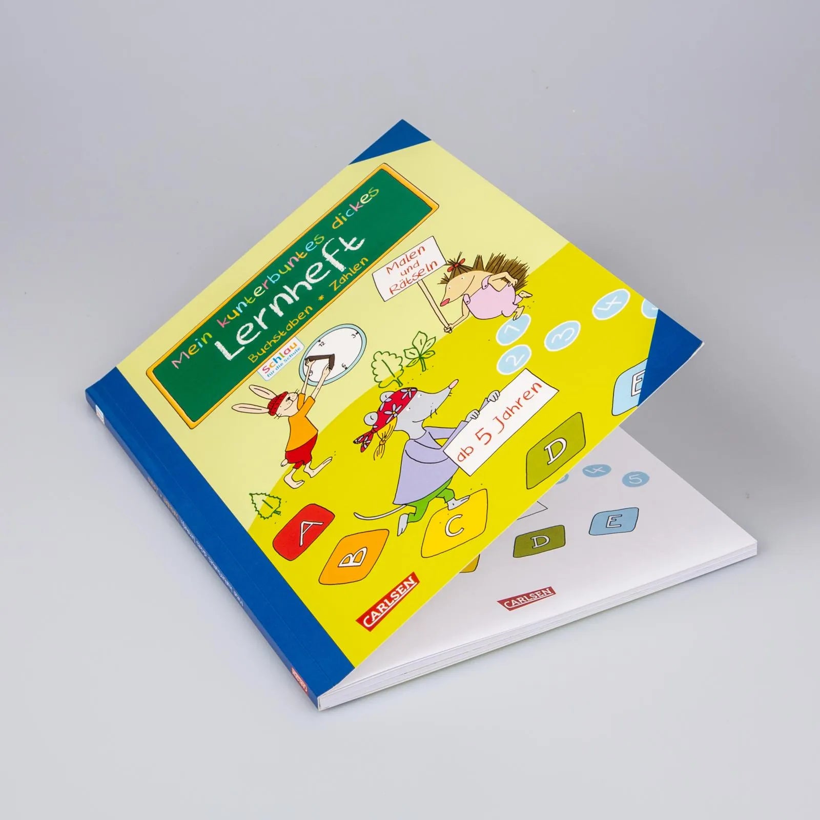Christine Mildner - Schlau für die Schule: Mein kunterbuntes dickes Lernheft: Buchstaben und Zahlen
