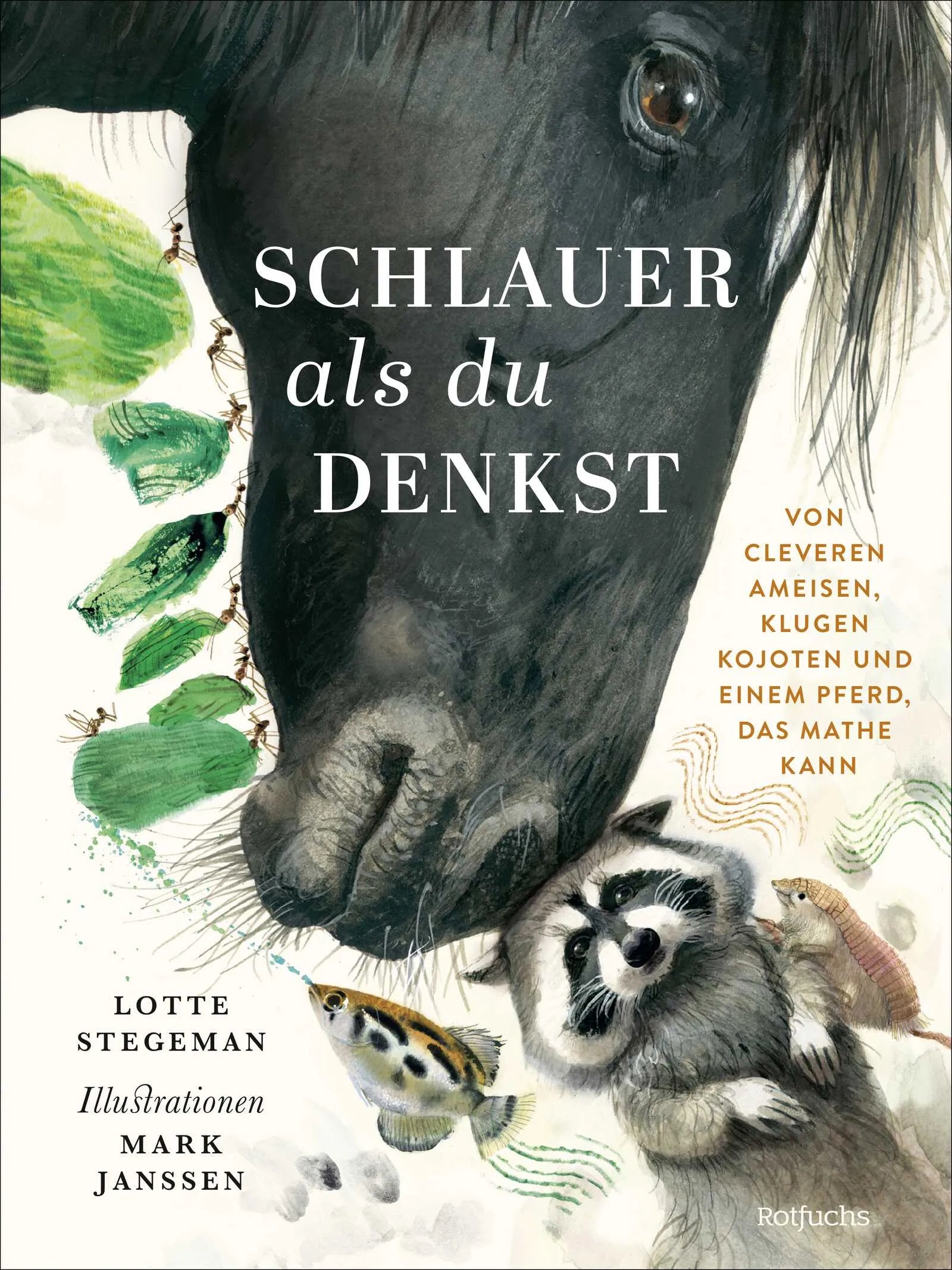 Buchcover von 'Schlauer, als du denkst' - Gebundene Ausgabe von Lotte Stegeman