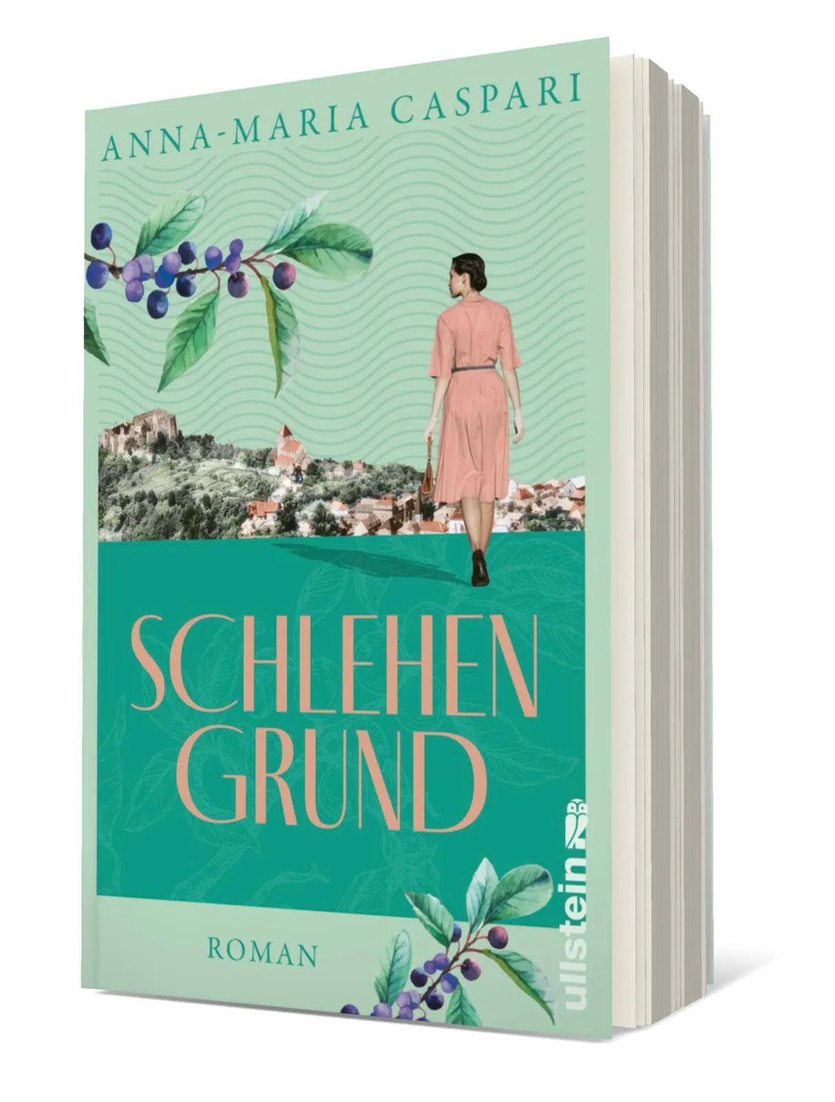 Produktansicht: Schlehengrund (Paperback)