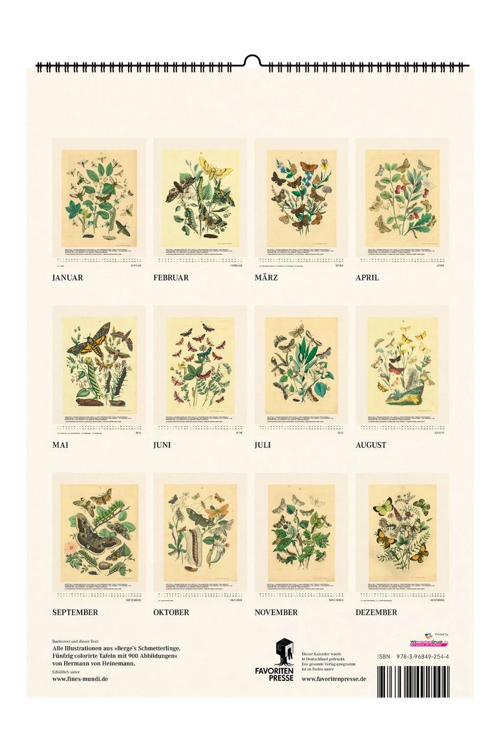 Schmetterlinge. Wandkalender 2027 – Ansicht