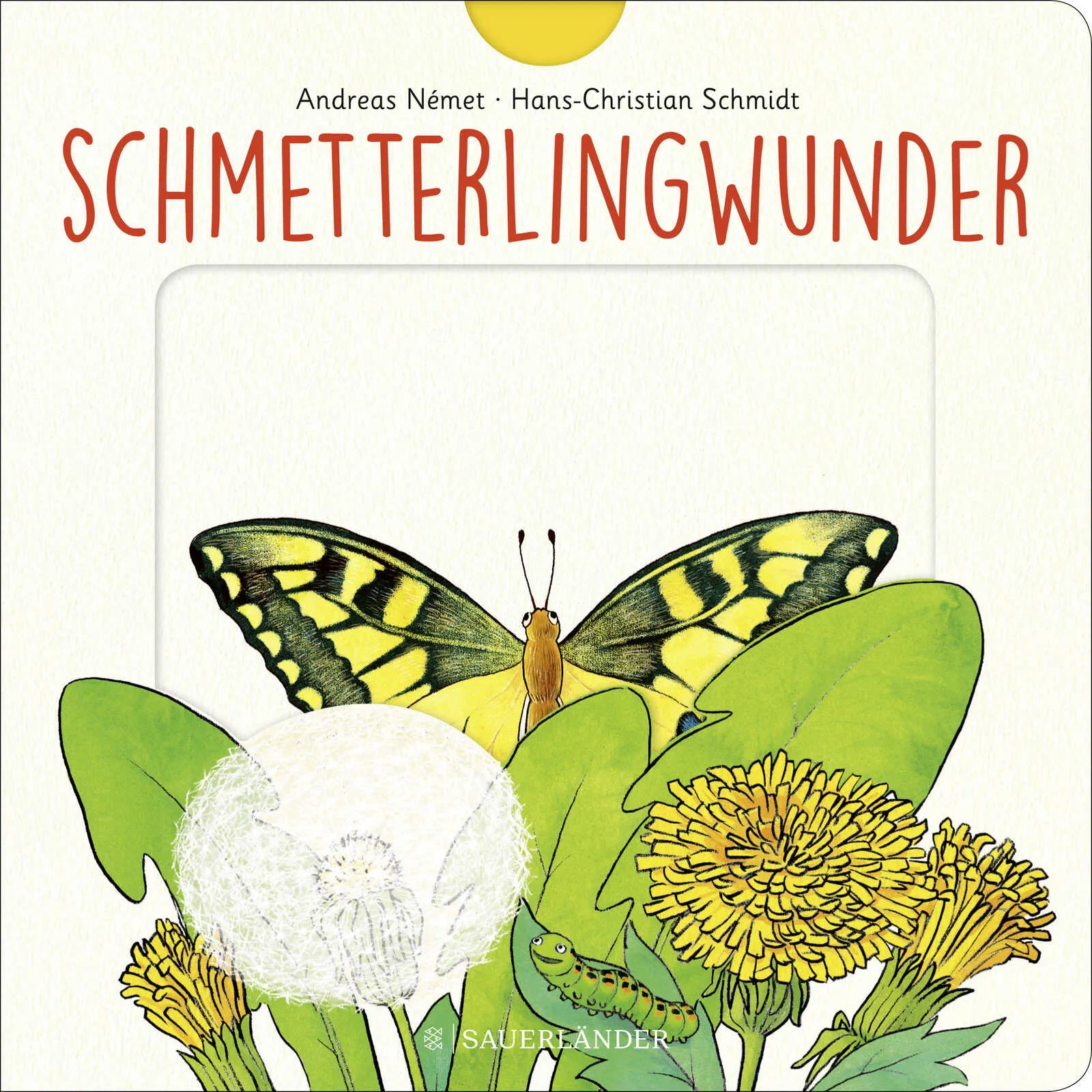 Buchcover von 'Schmetterlingwunder' - Gebundene Ausgabe von Hans-Christian Schmidt
