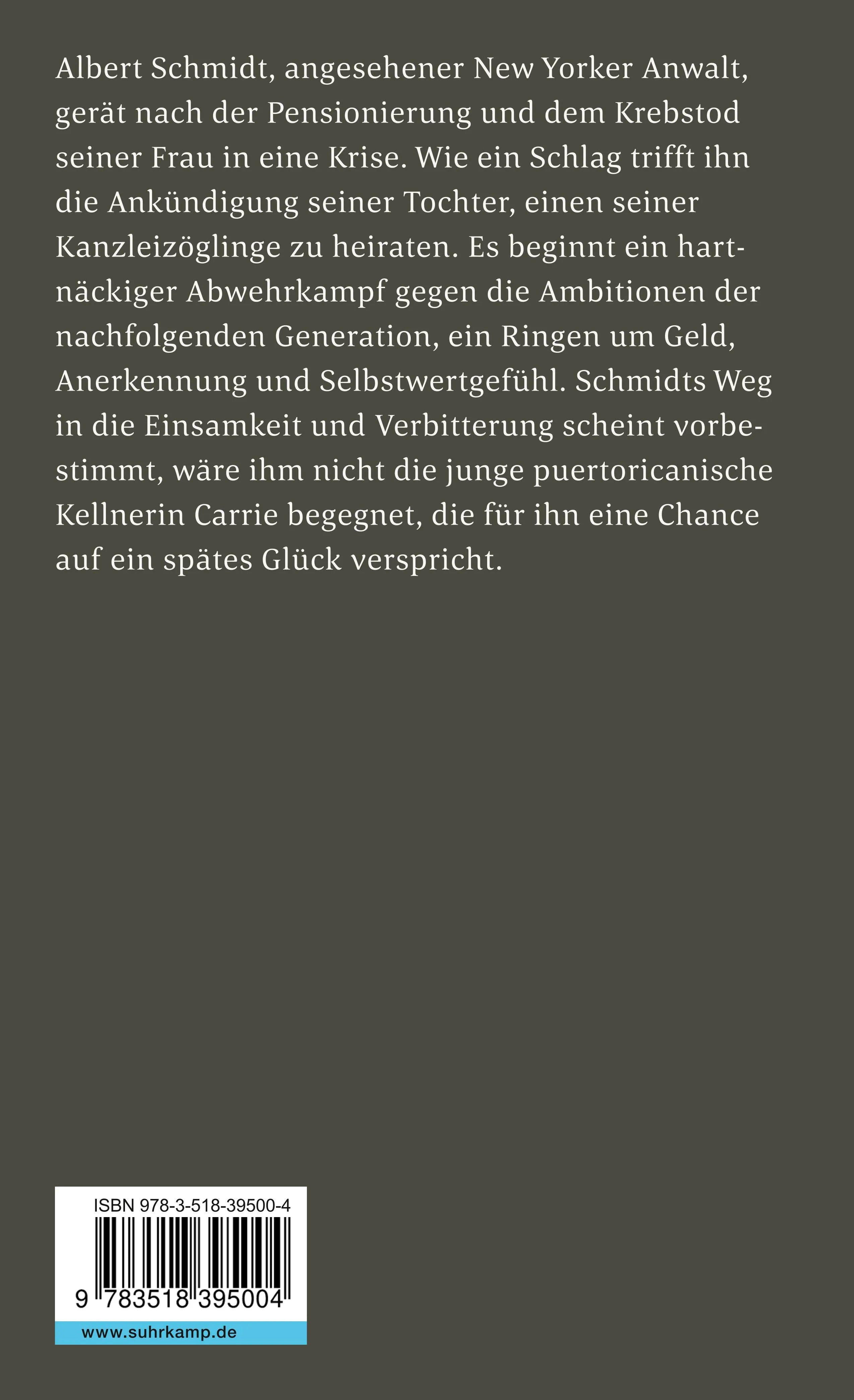 Buchrückseite von 'Schmidt' mit Klappentext - Taschenbuch