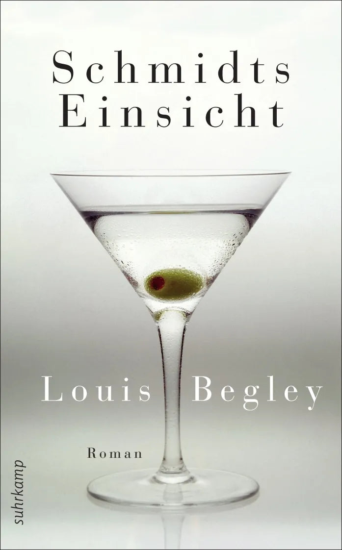 Buchcover von 'Schmidts Einsicht' - Taschenbuch von Louis Begley