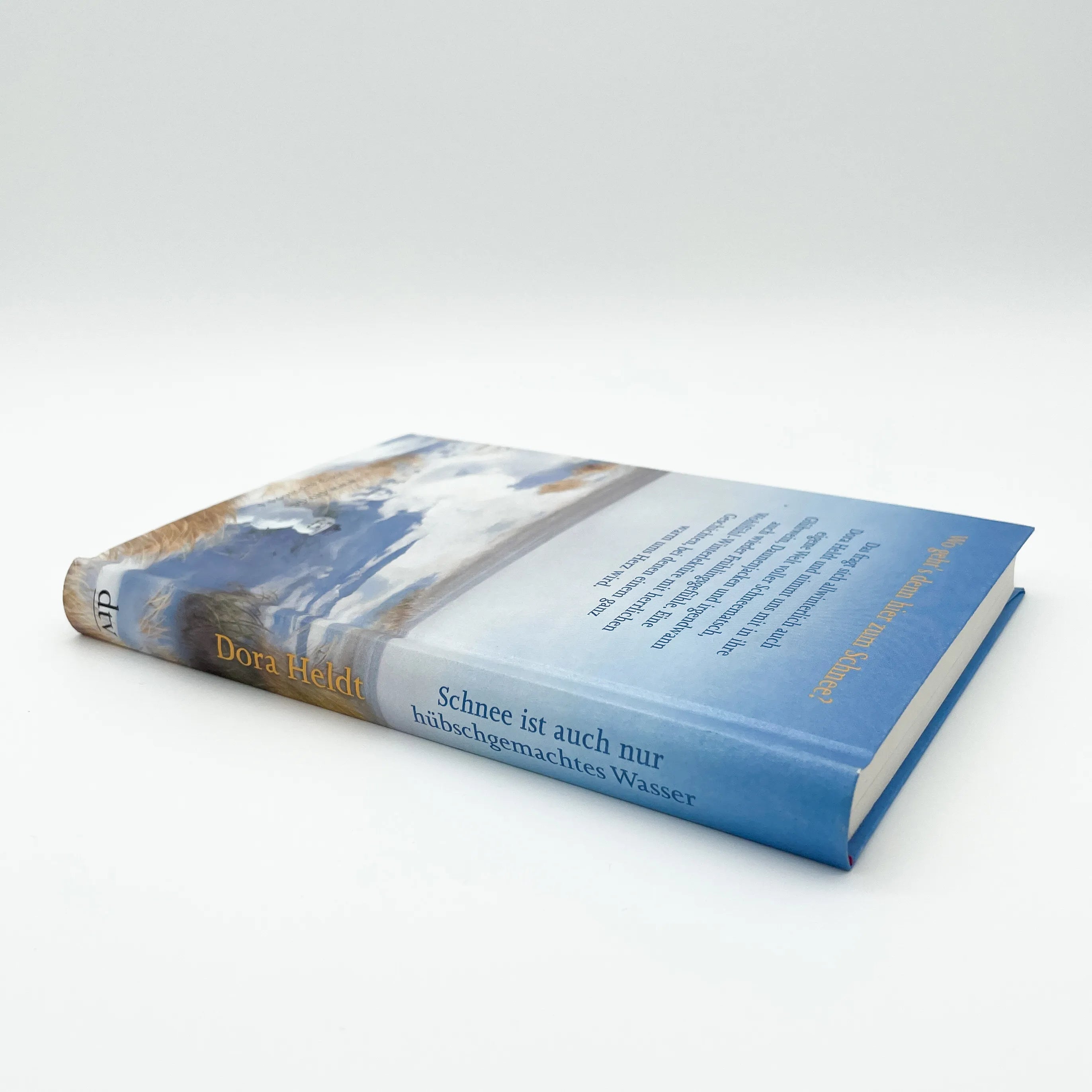 Produktansicht: Schnee ist auch nur hübschgemachtes Wasser (Taschenbuch)