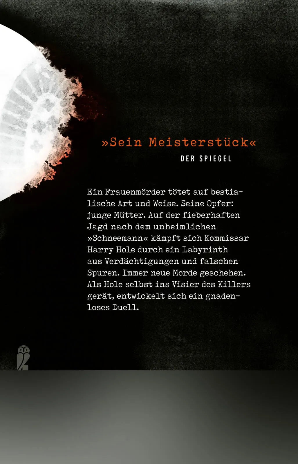 Rückseite: Schneemann (Taschenbuch)
