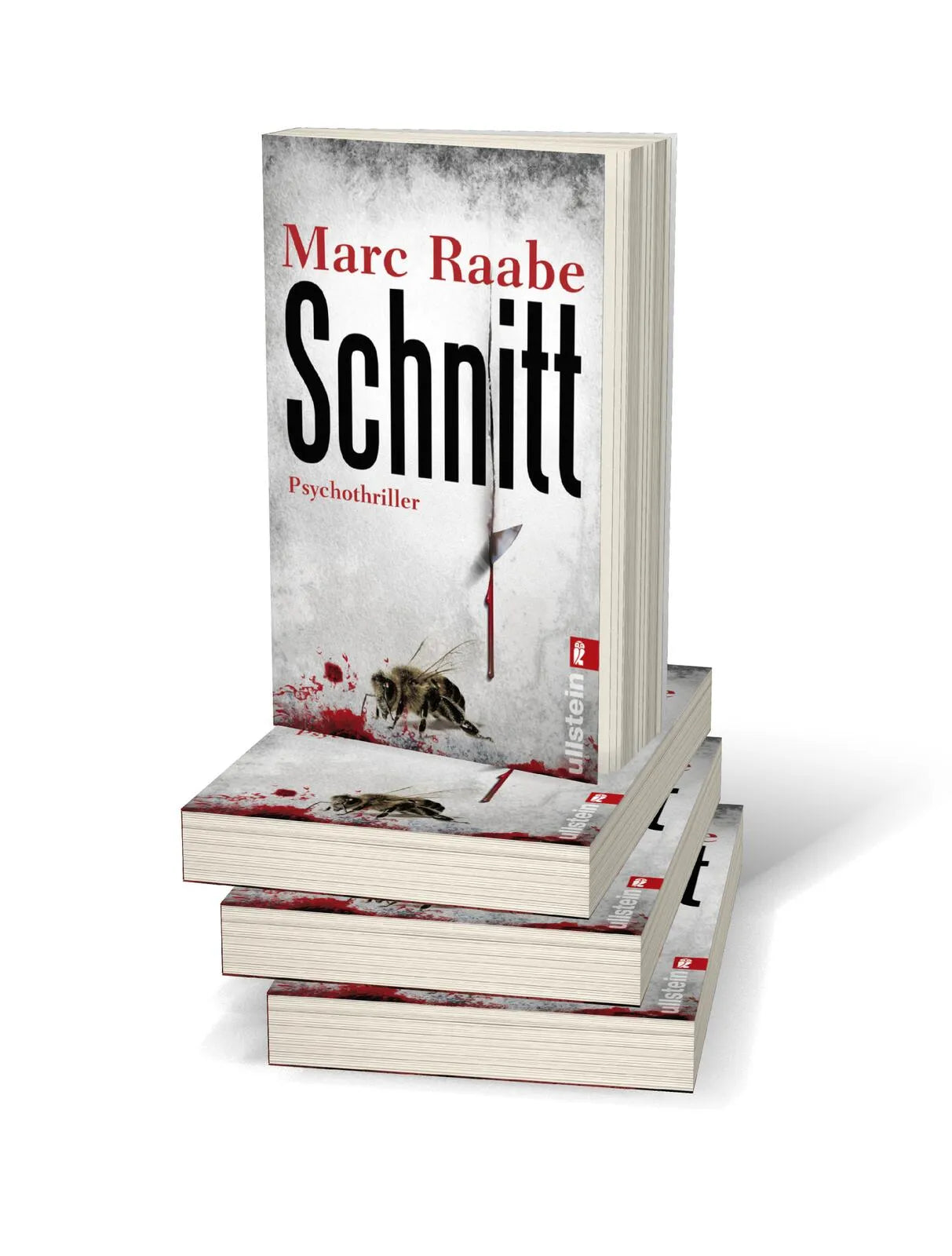 Abbildung von 'Schnitt'