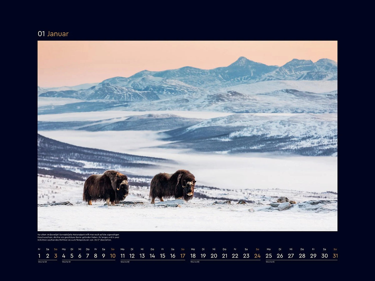 Schönheit des Nordens - KUNTH Wandkalender 2027 – Ansicht