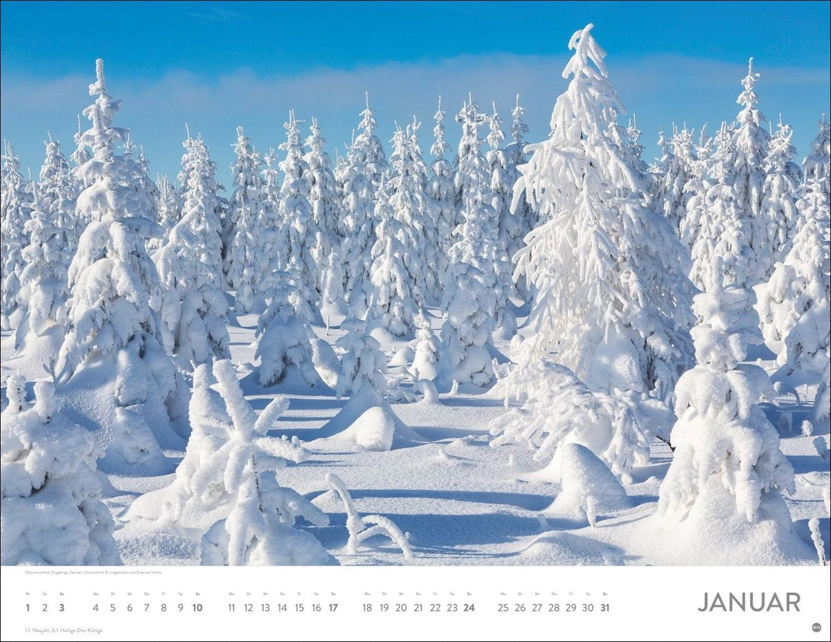 Schönheit des Waldes Posterkalender 2027 – Ansicht