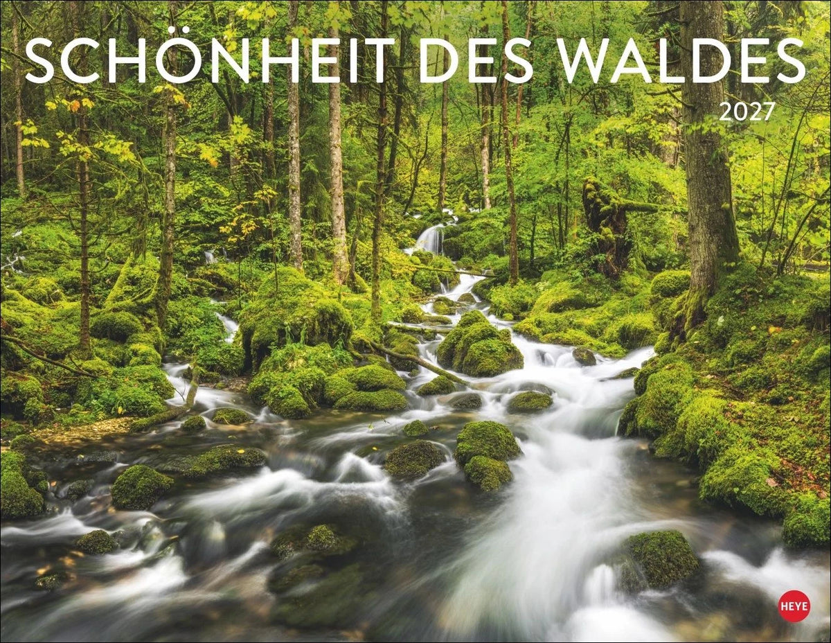 Wandkalender: Schönheit des Waldes Posterkalender 2027