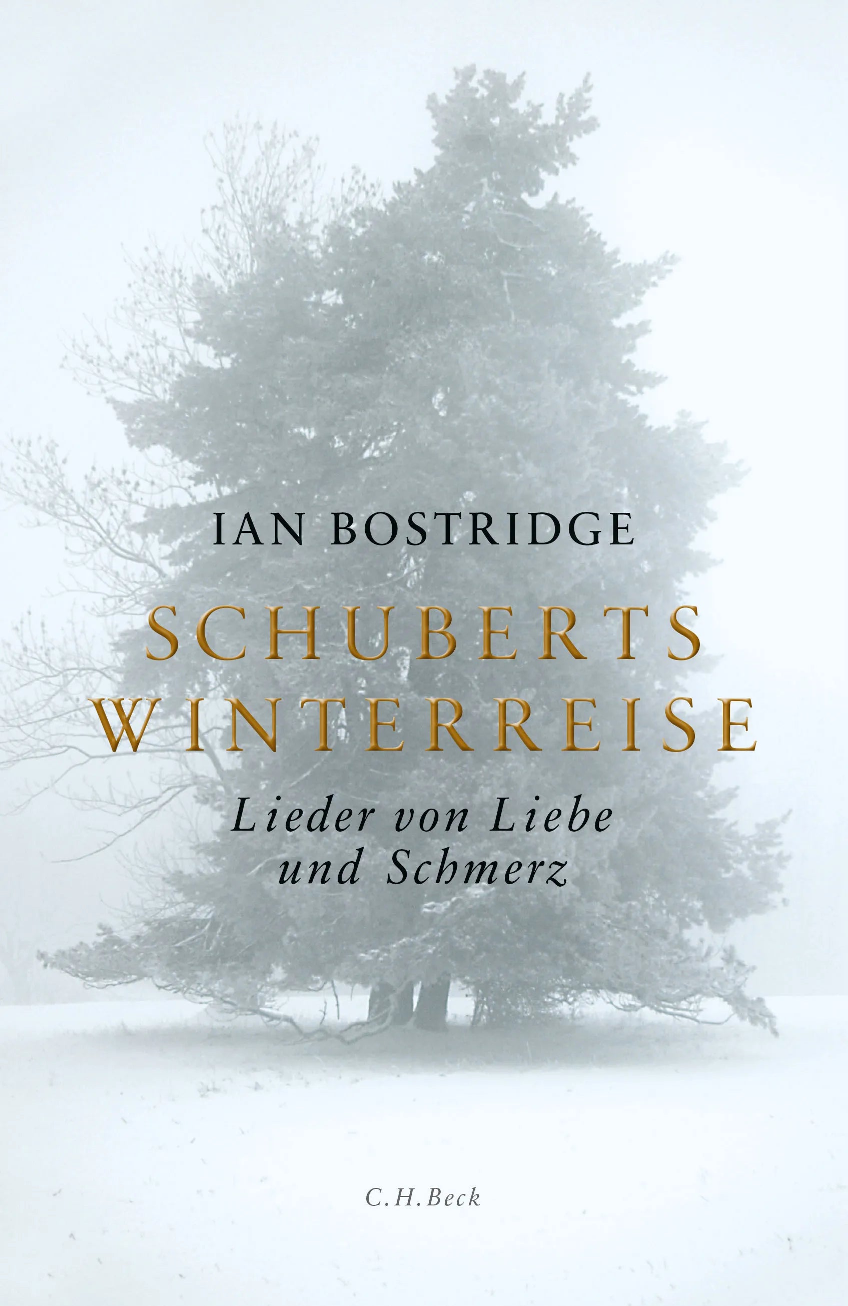 Buchcover von 'Schuberts Winterreise' - Gebundene Ausgabe von Ian Bostridge