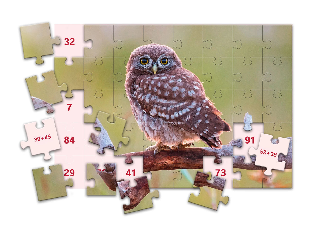 SCHUBI MathPuzzles – Ansicht