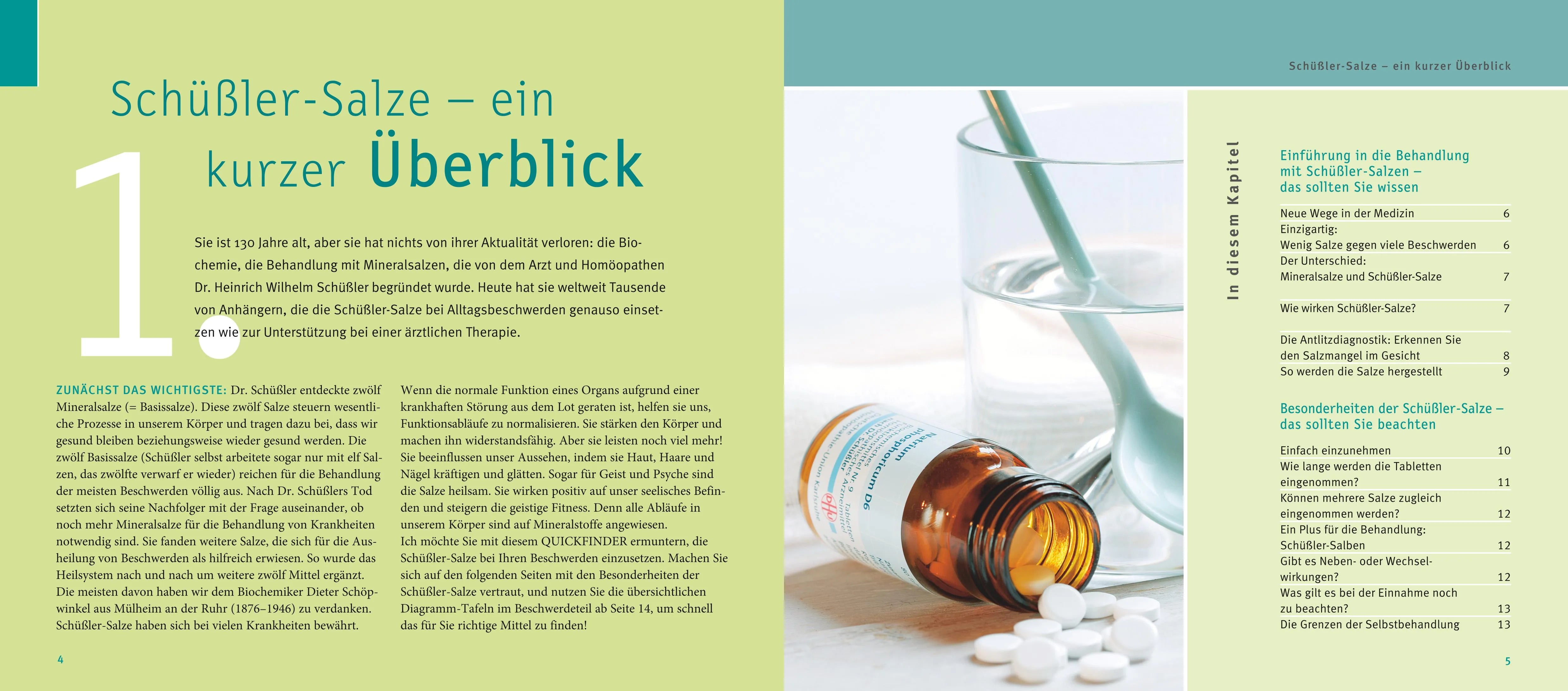 Produktansicht: Schüßler-Salze, Quickfinder (Paperback)