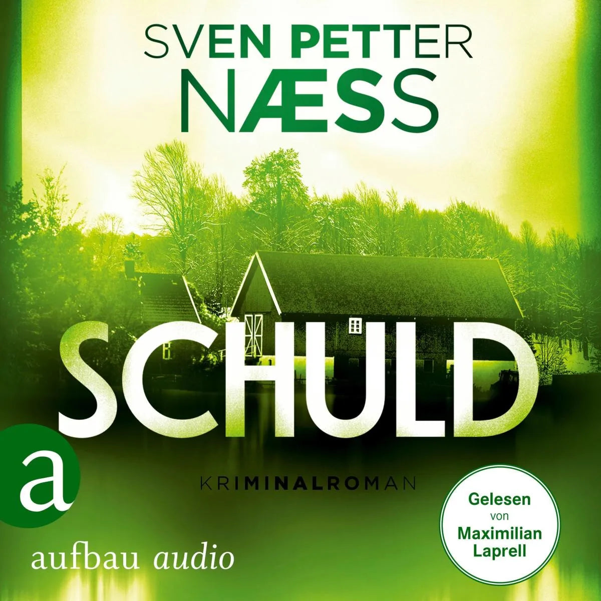 Cover: Schuld (Hörbuch Download) von Sven Petter Naess